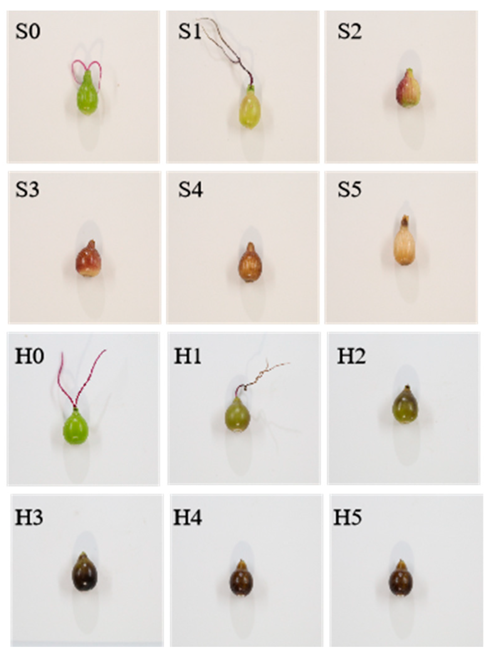 Molecules 28 03759 g009 Molecules 28 03759 g009