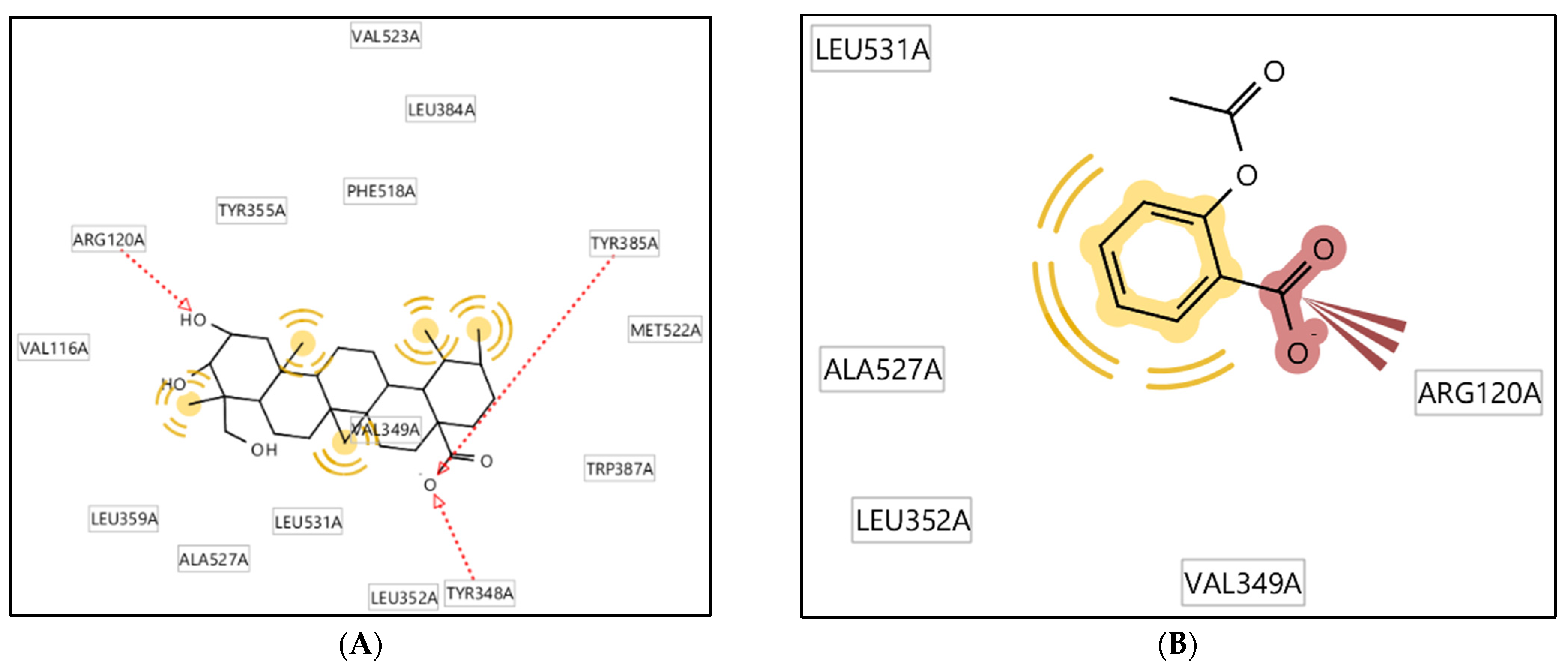 Molecules 28 03762 g006