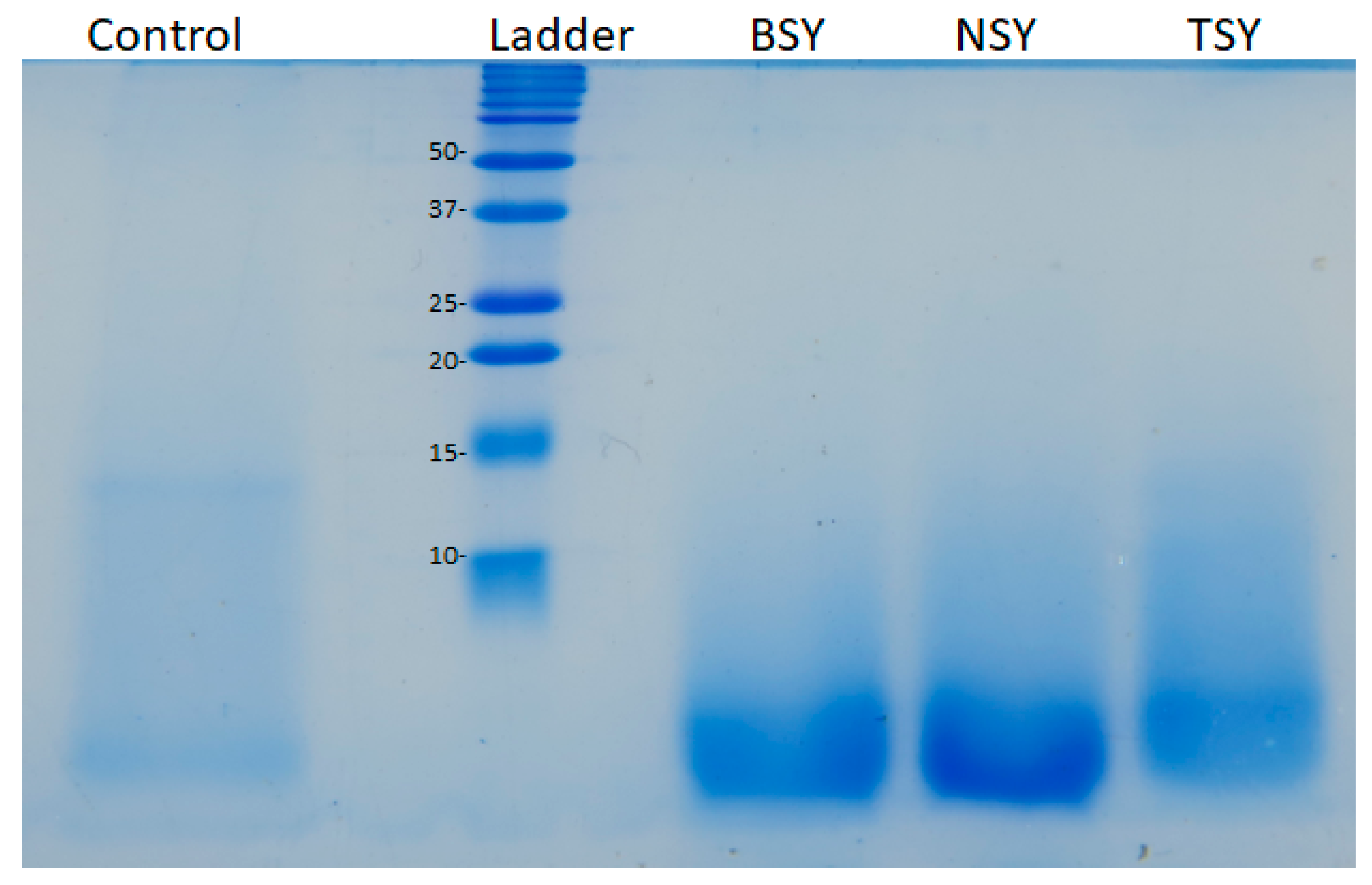 Molecules 28 03763 g001