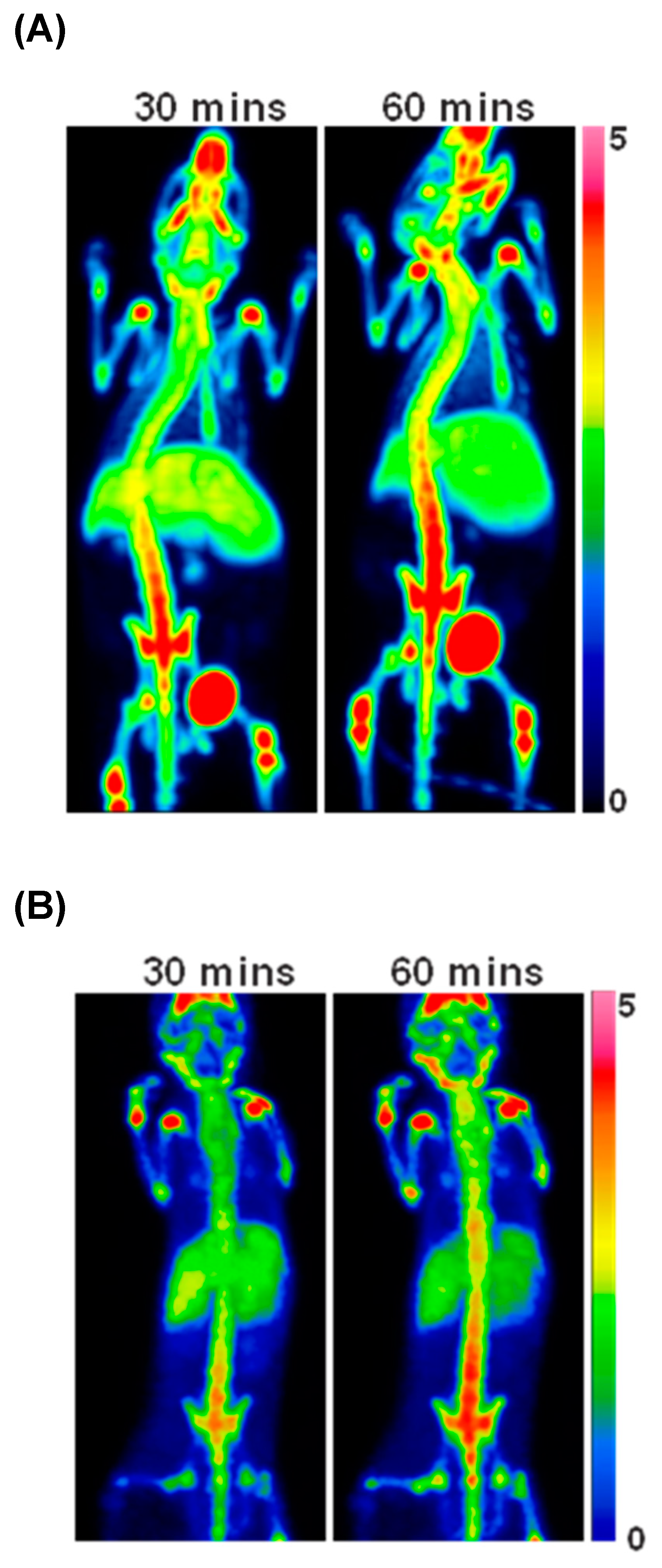 Molecules 28 03773 g006