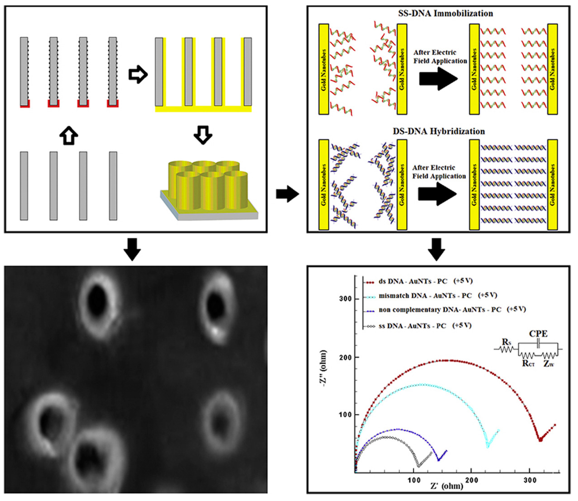 Molecules 28 03777 g004