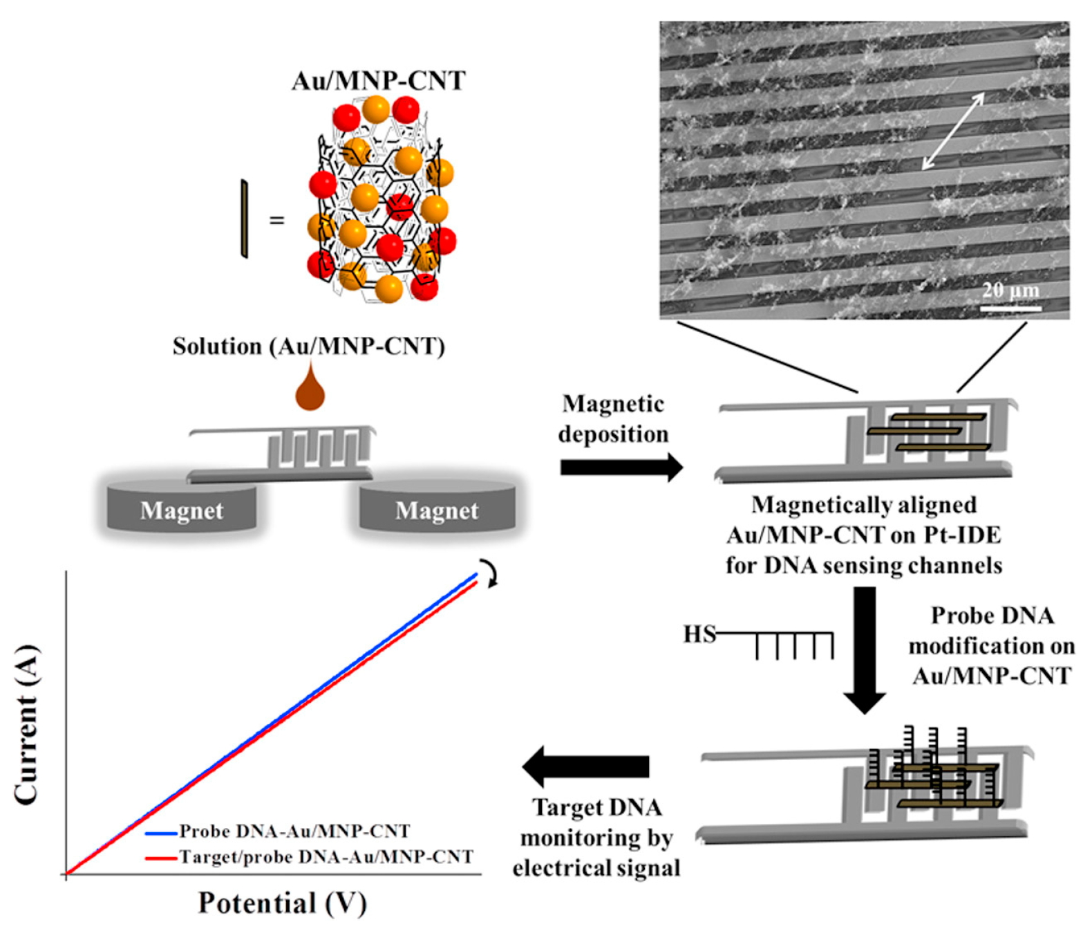 Molecules 28 03777 g005