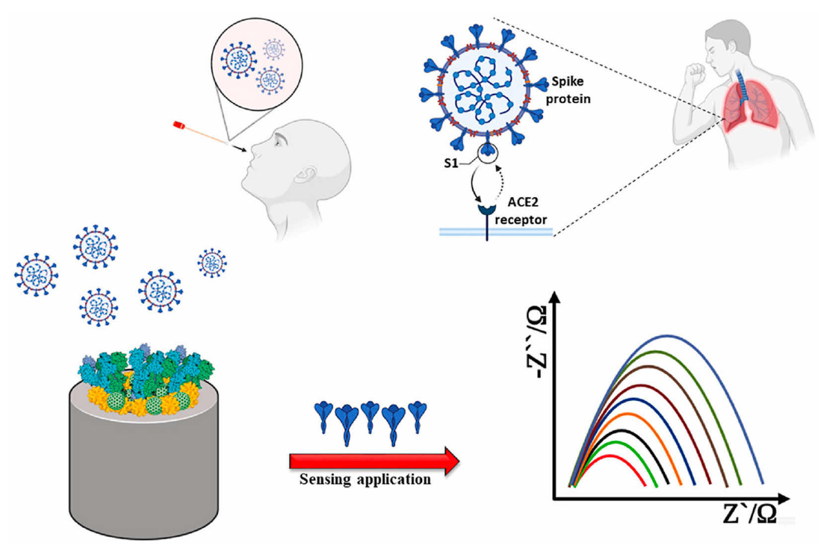 Molecules 28 03777 g008