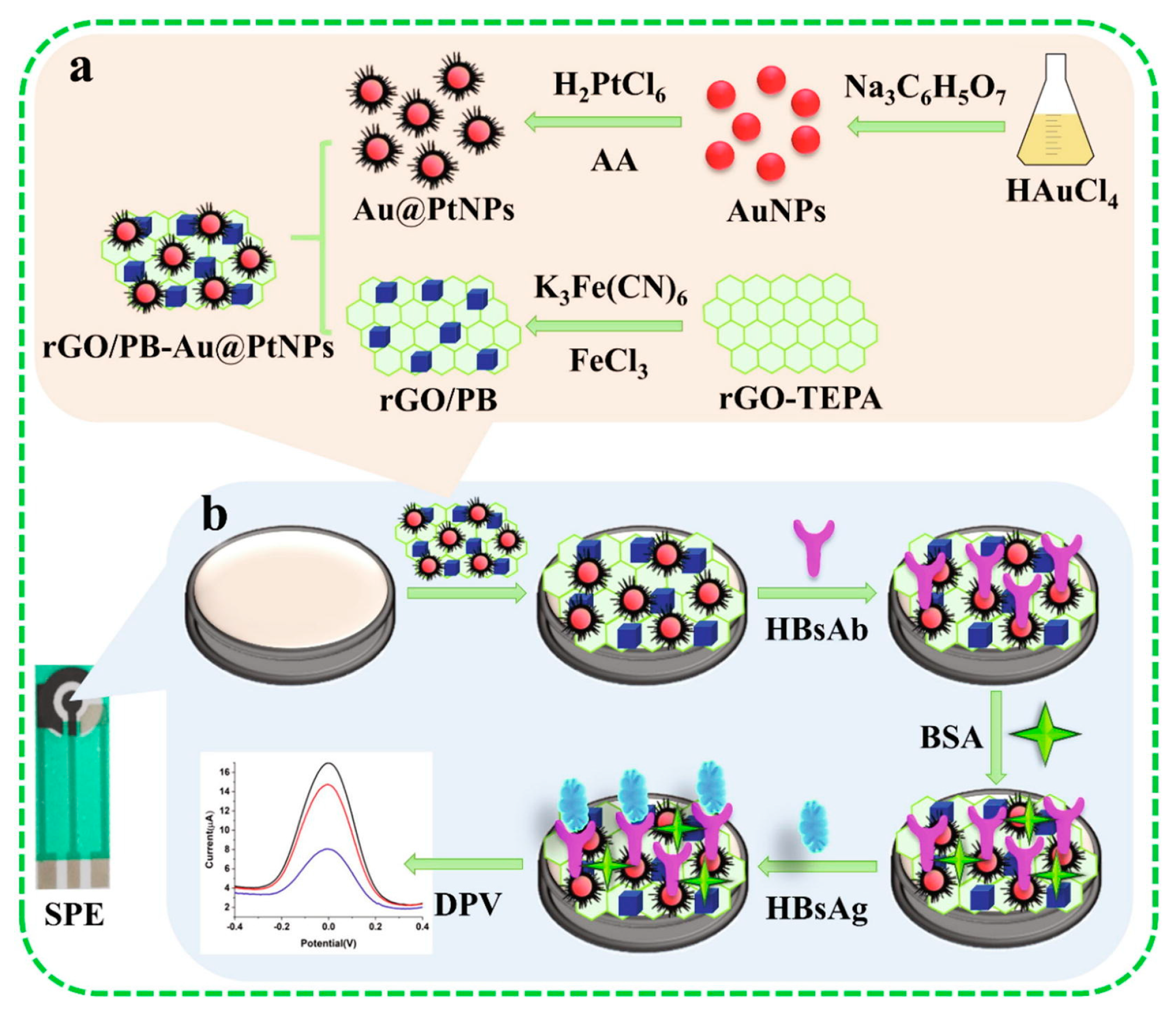 Molecules 28 03777 g009