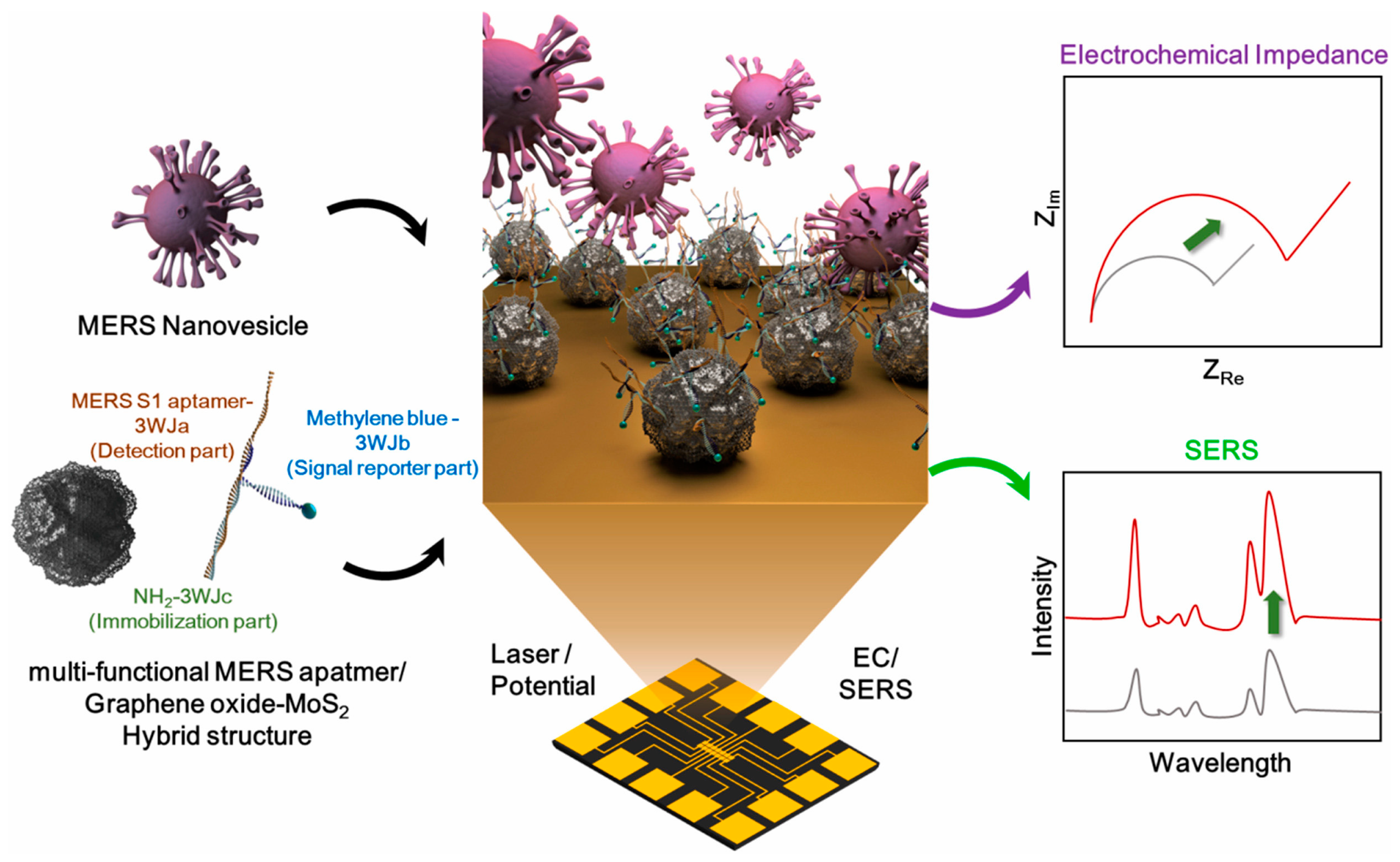 Molecules 28 03777 g011