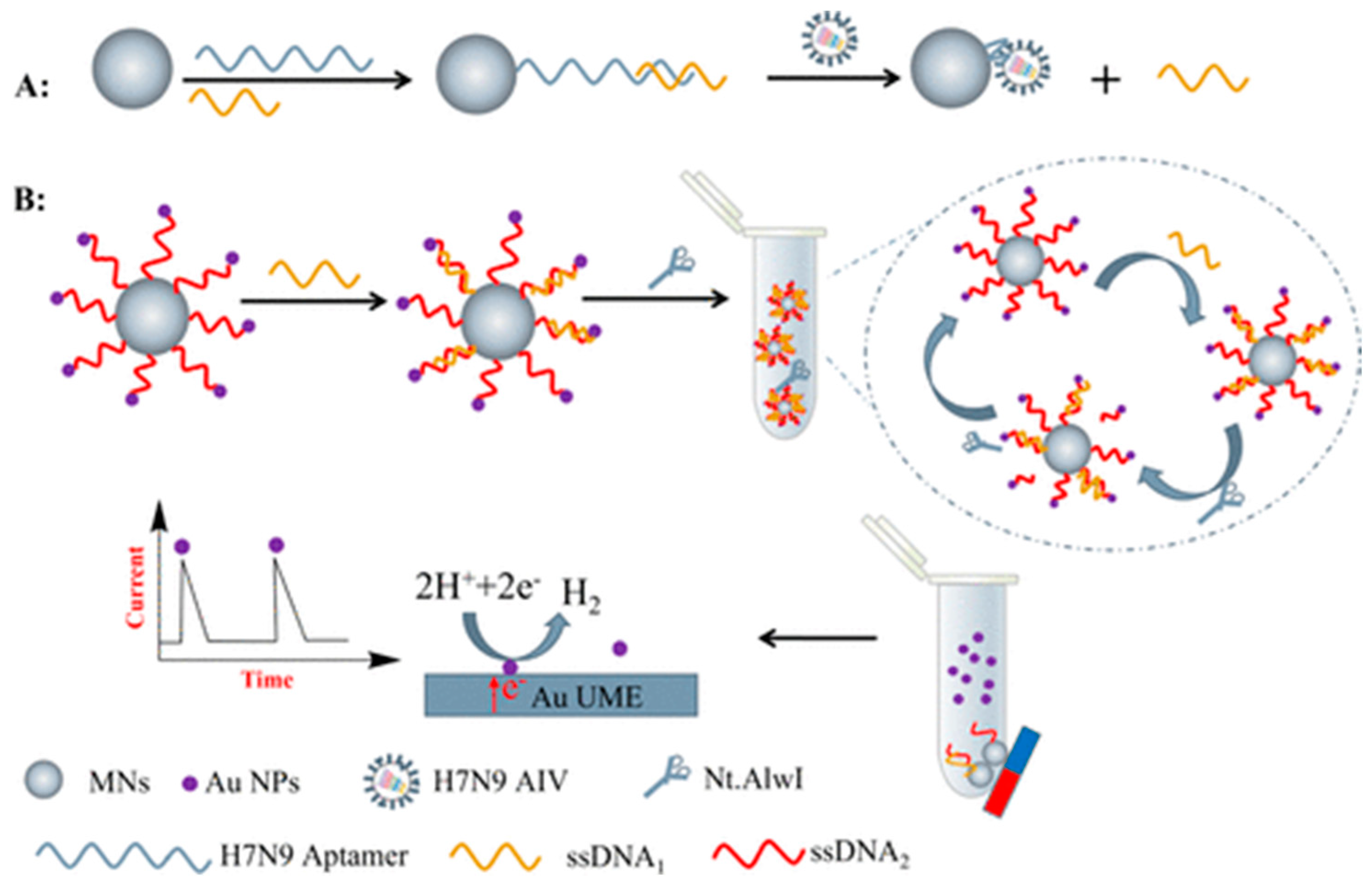 Molecules 28 03777 g013