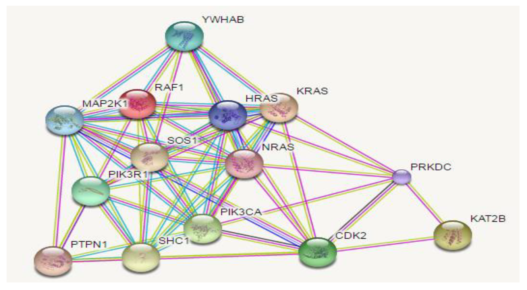 Molecules 28 03783 g003