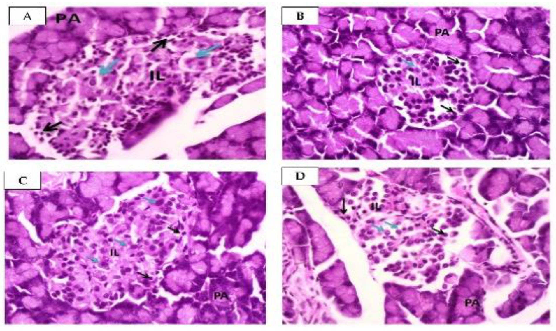 Molecules 28 03783 g004