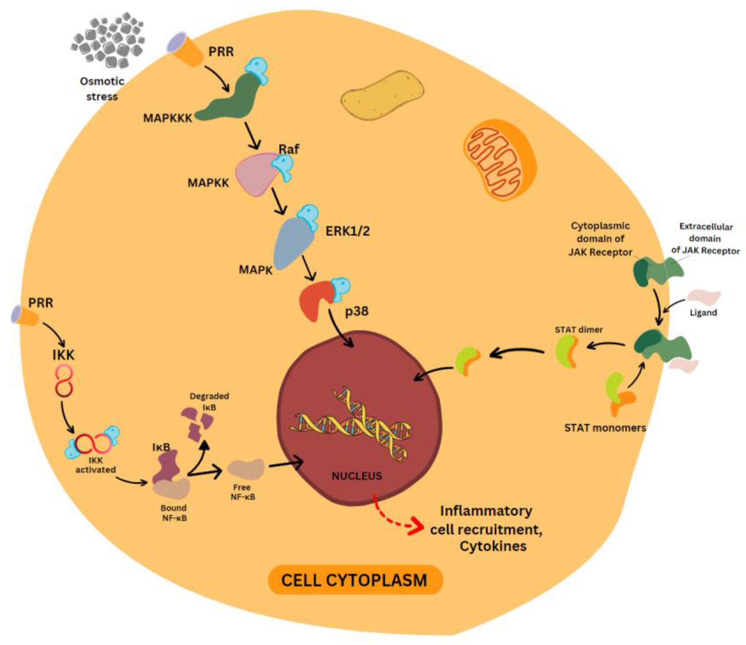 Molecules 28 03786 g002 Molecules 28 03786 g002