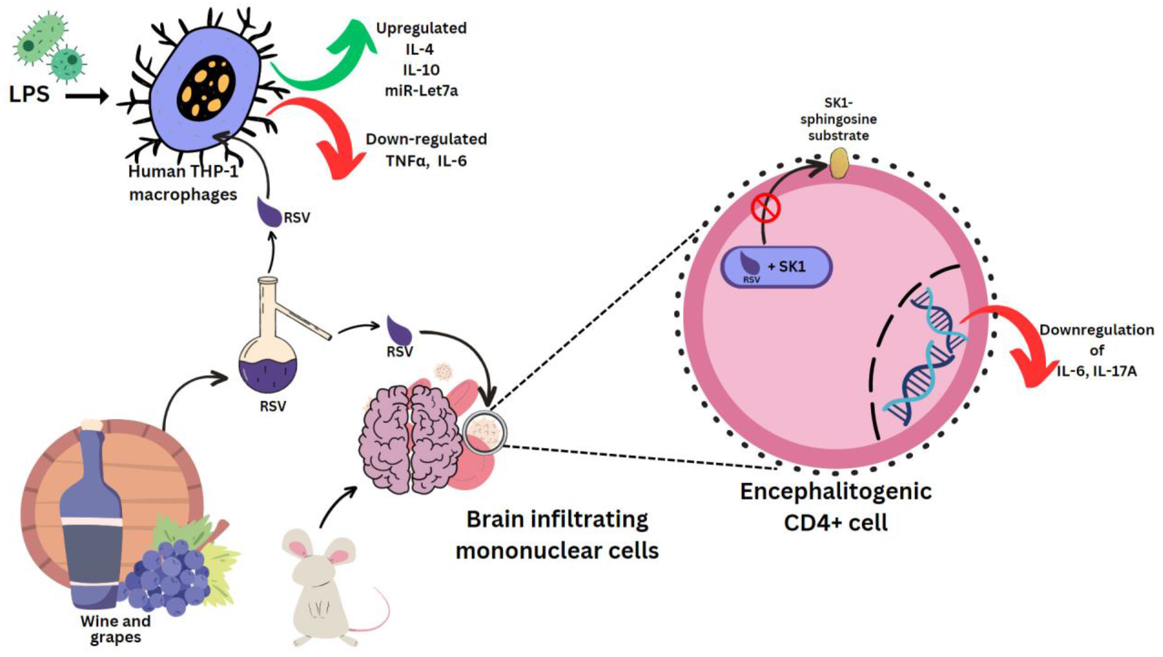 Molecules 28 03786 g003 Molecules 28 03786 g003