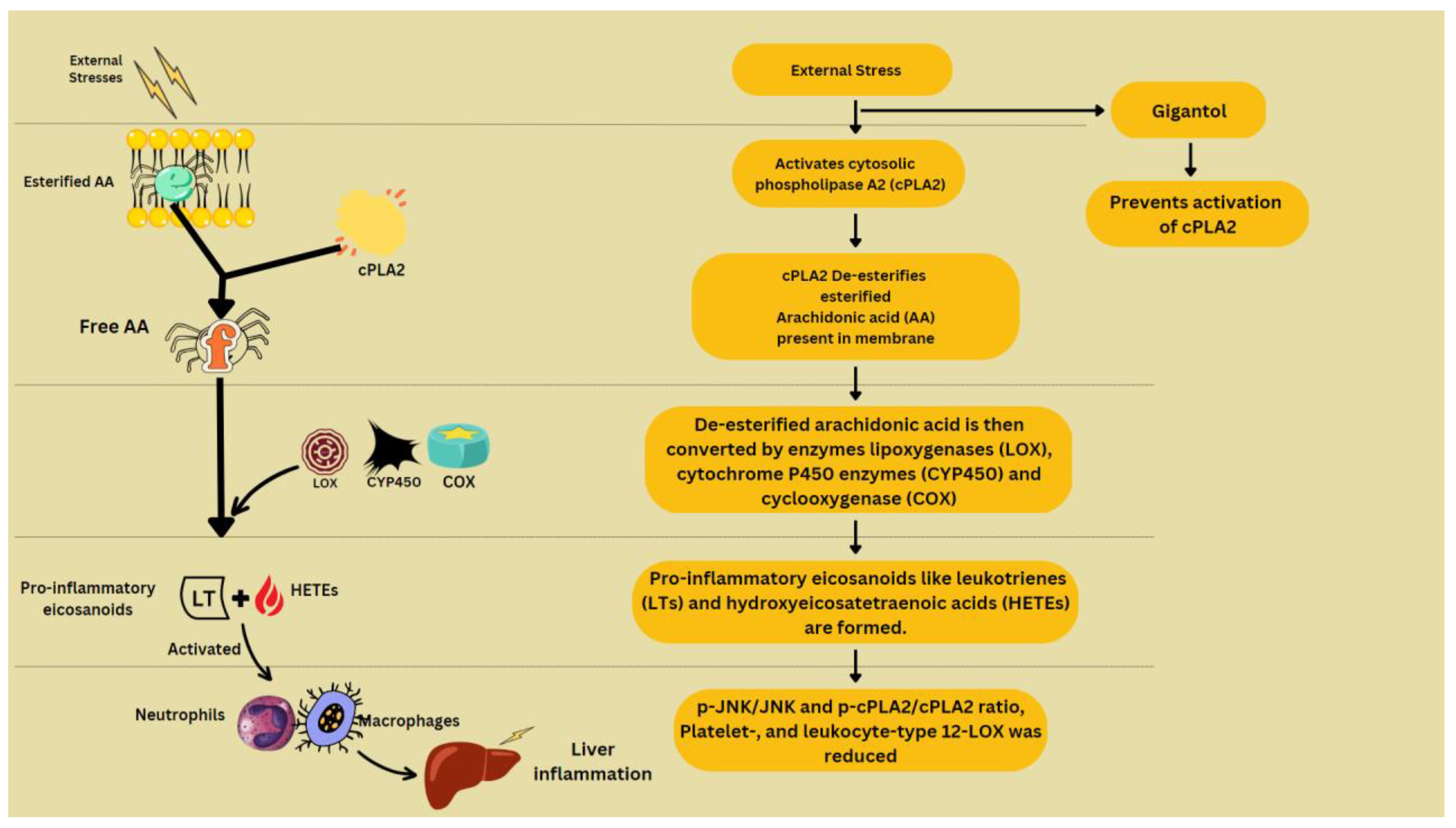 Molecules 28 03786 g004 Molecules 28 03786 g004