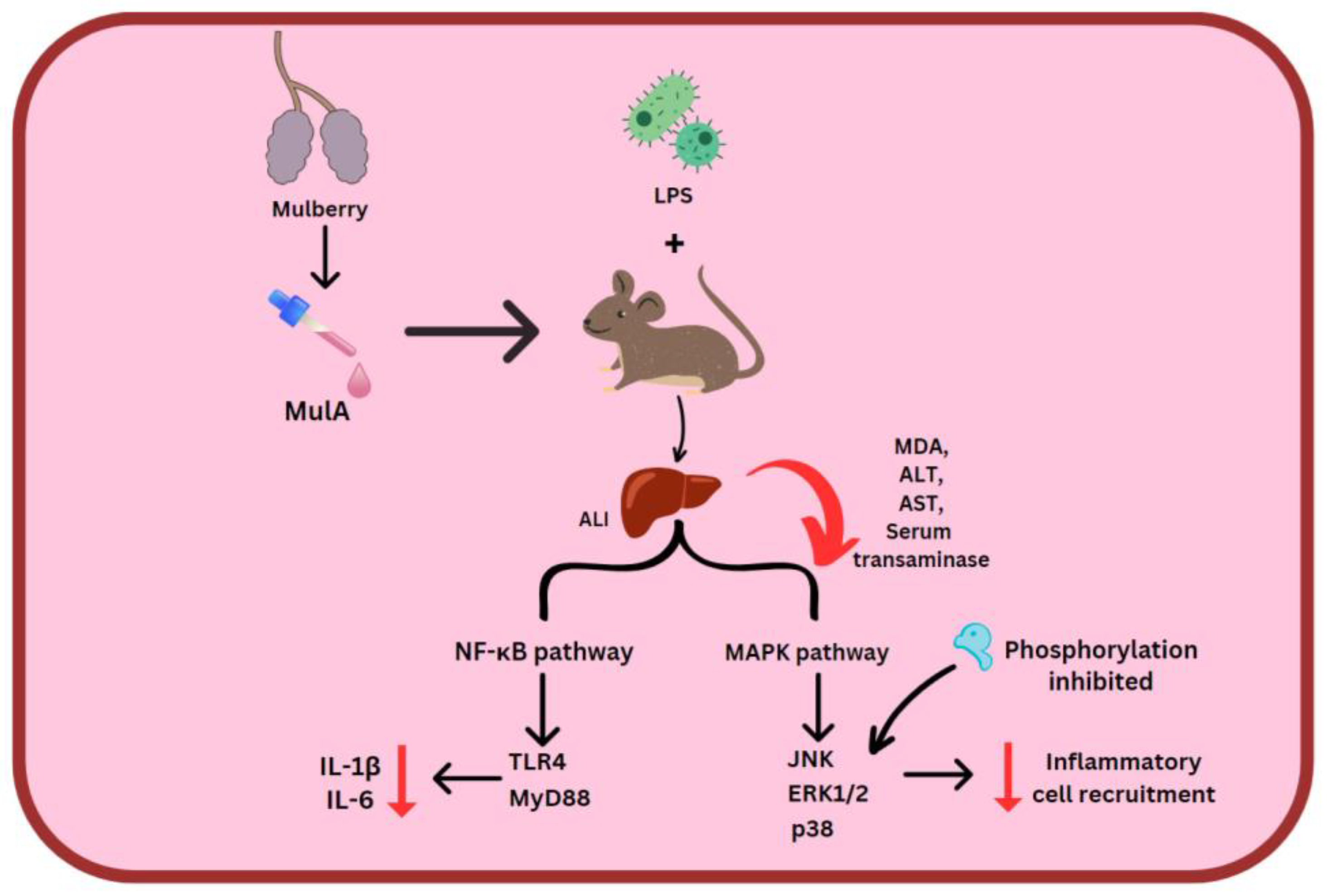 Molecules 28 03786 g005 Molecules 28 03786 g005