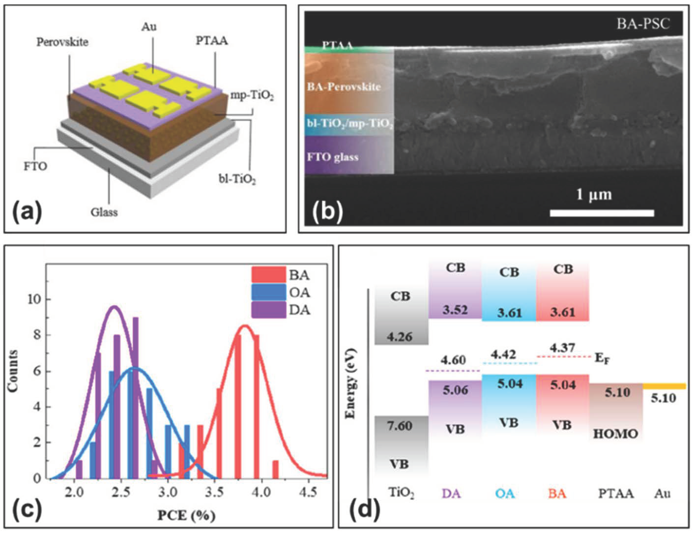 Molecules 28 03787 g006