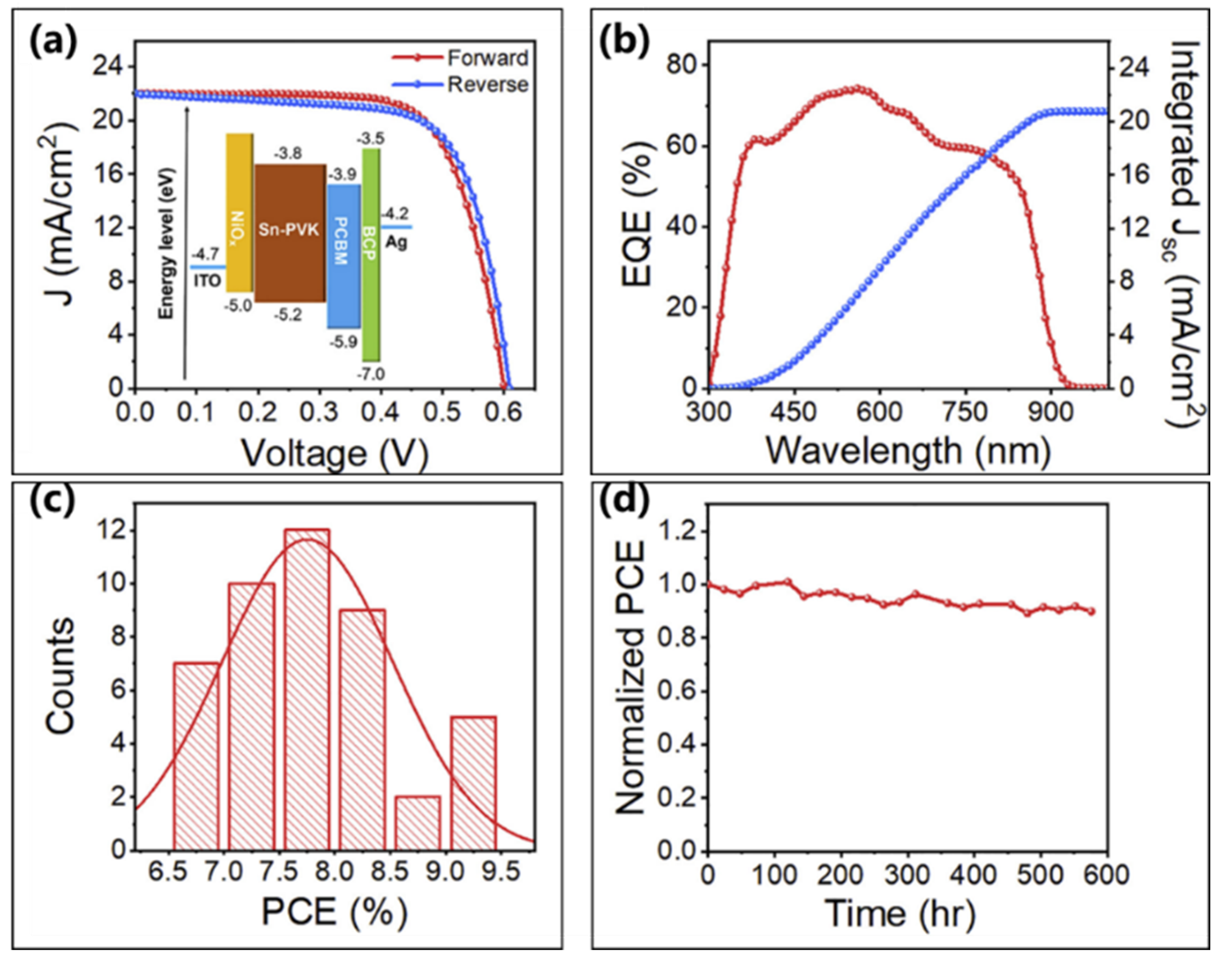 Molecules 28 03787 g022