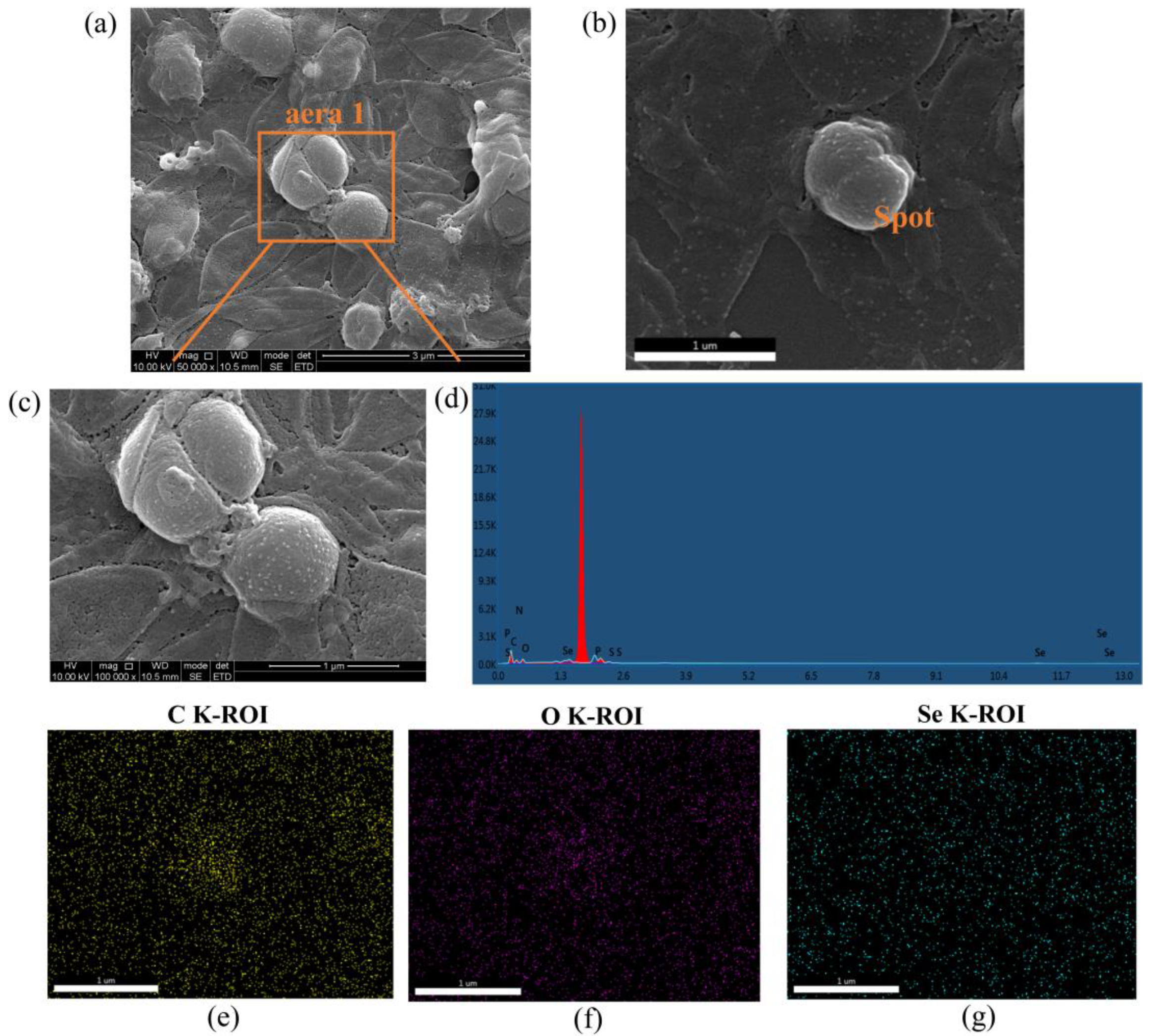 Molecules 28 03793 g009