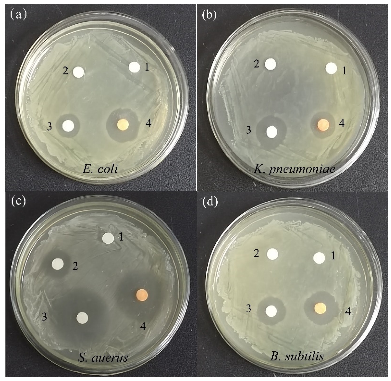 Molecules 28 03793 g010