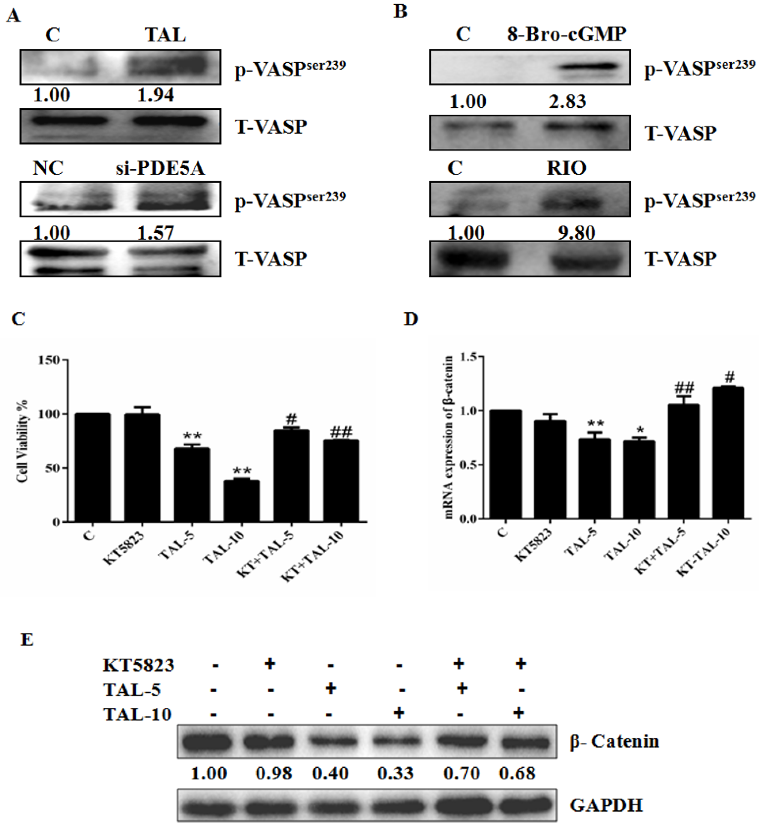 Molecules 28 03795 g005