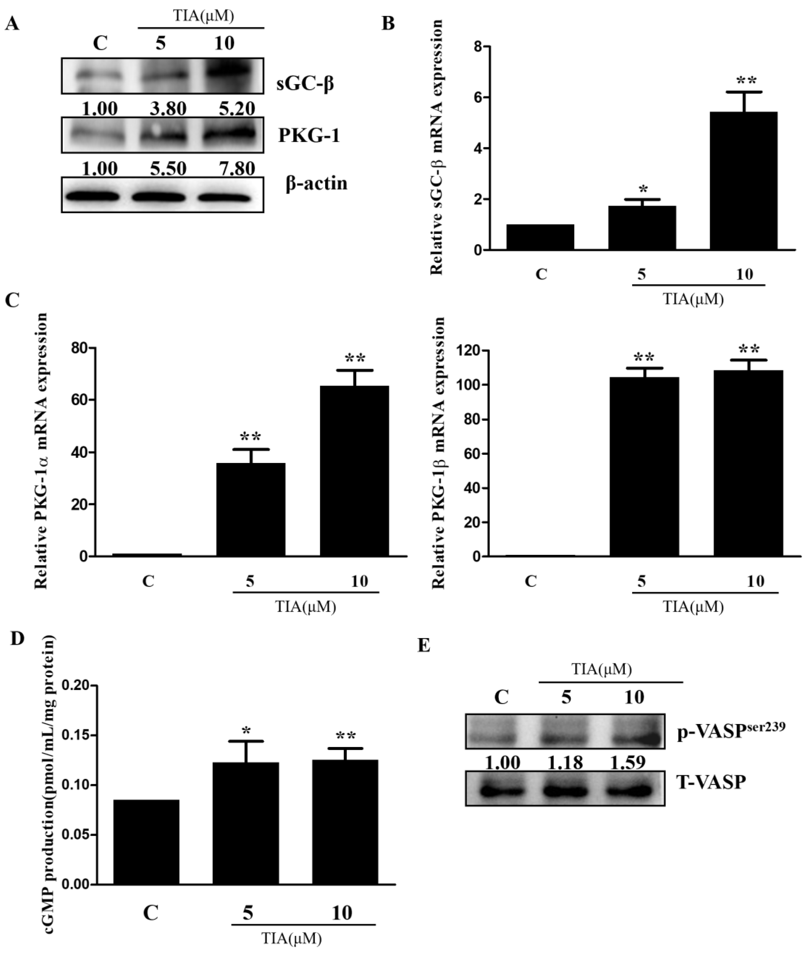 Molecules 28 03795 g006