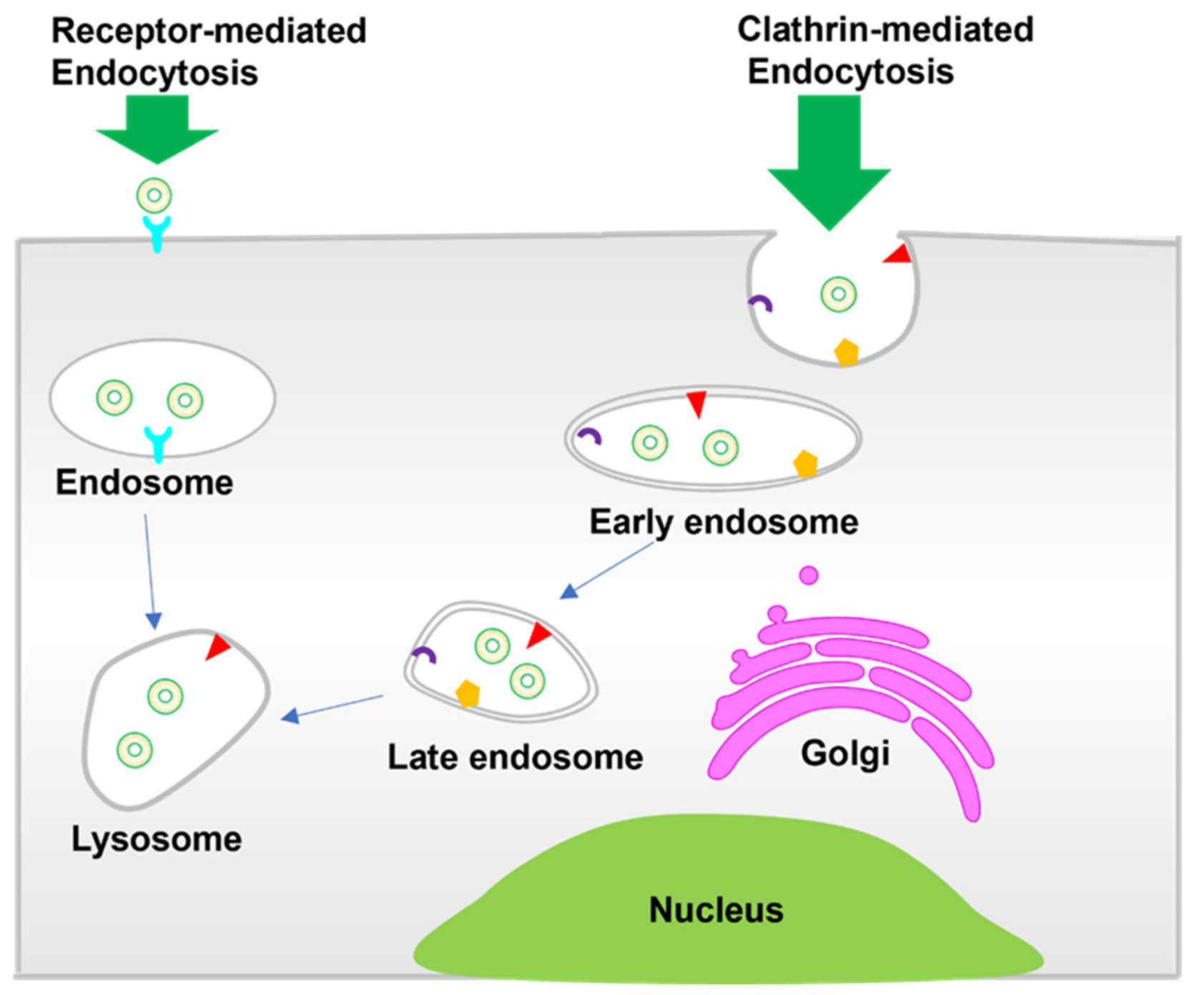 Molecules 28 03798 sch002 Molecules 28 03798 sch002