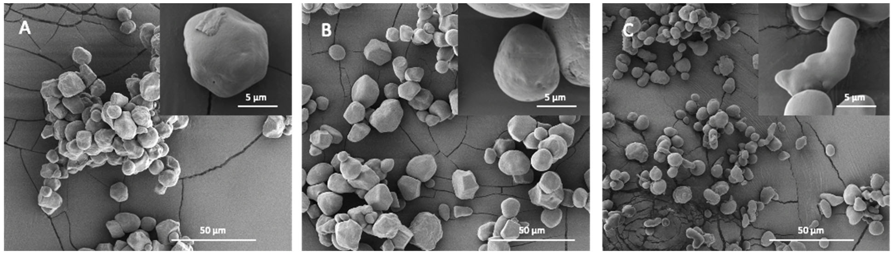Molecules 28 03799 g002 Molecules 28 03799 g002