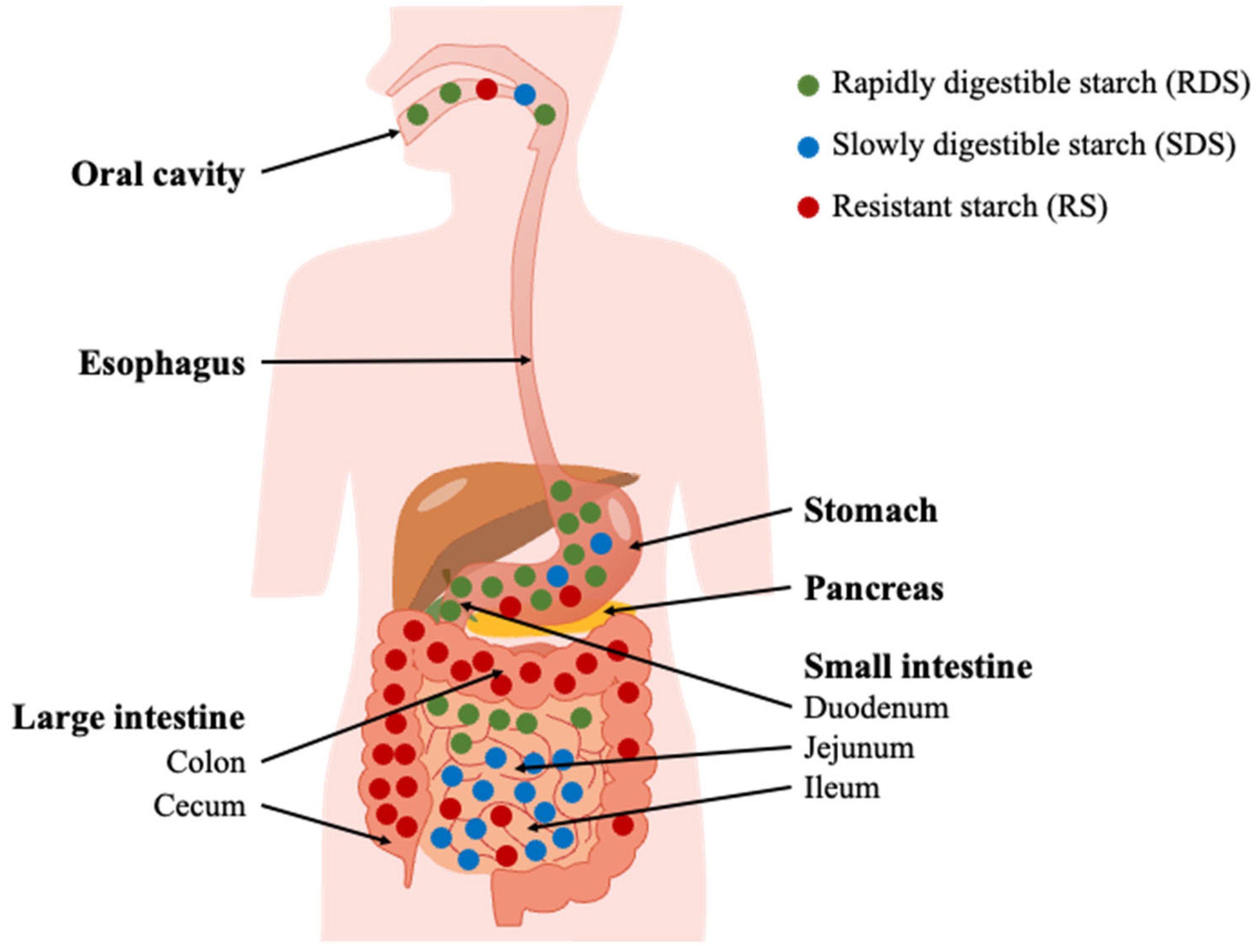 Molecules 28 03799 g004 Molecules 28 03799 g004