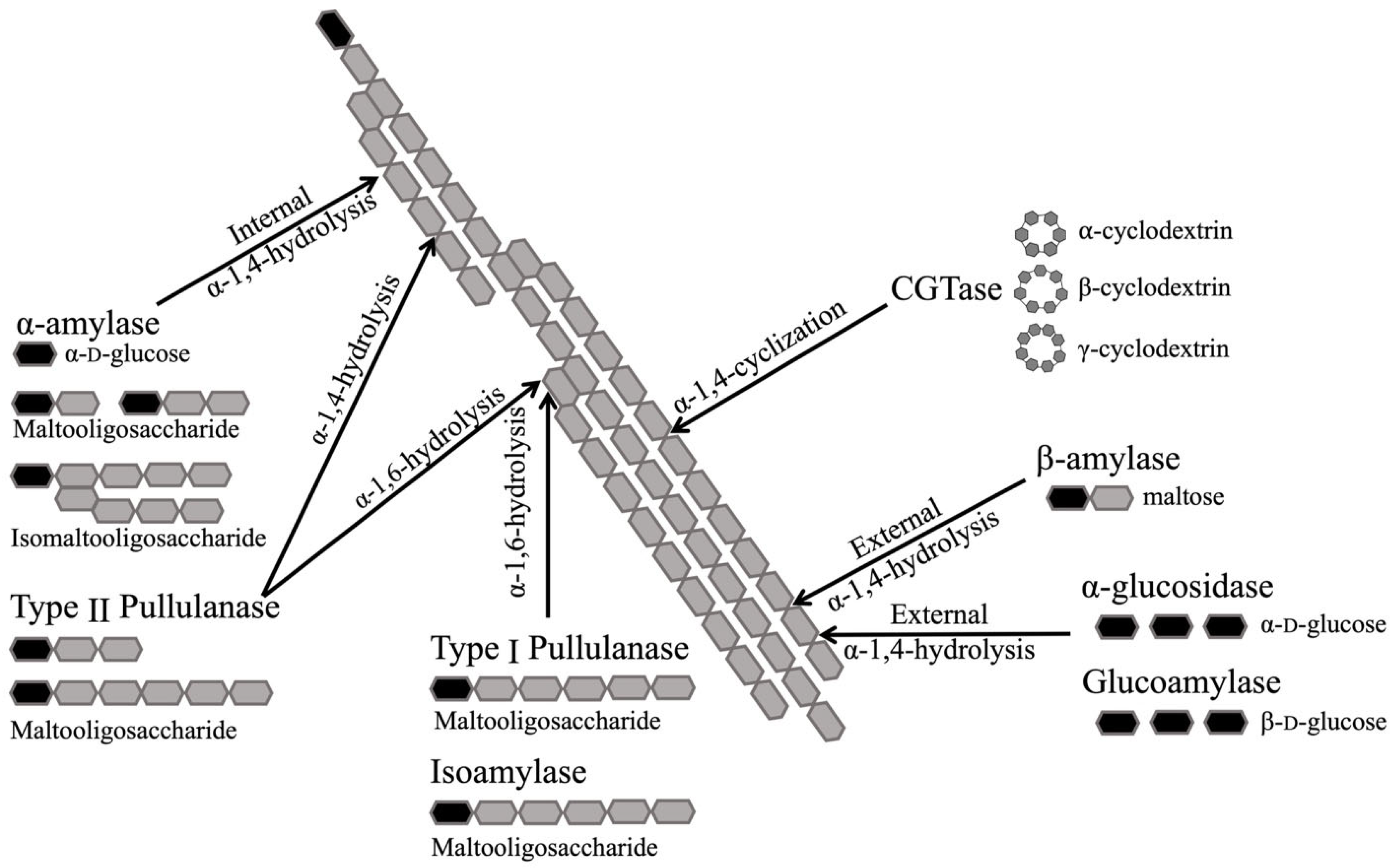 Molecules 28 03799 g006 Molecules 28 03799 g006