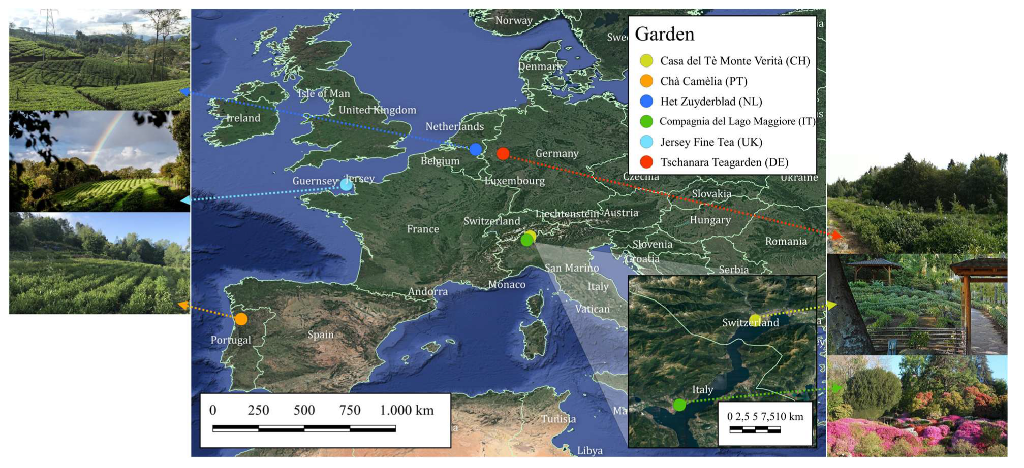 Molecules 28 03802 g005
