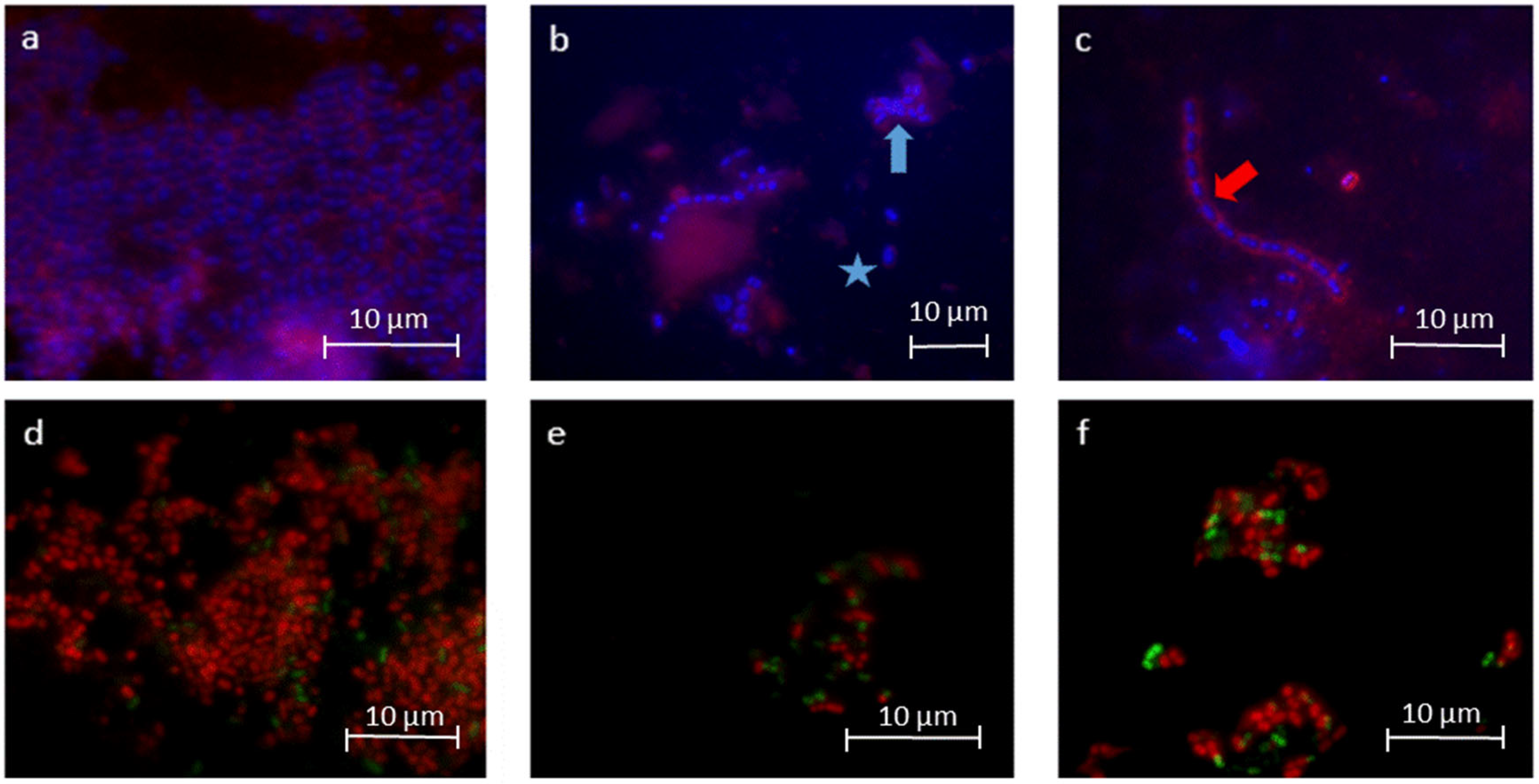 Molecules 28 03803 g003 Molecules 28 03803 g003