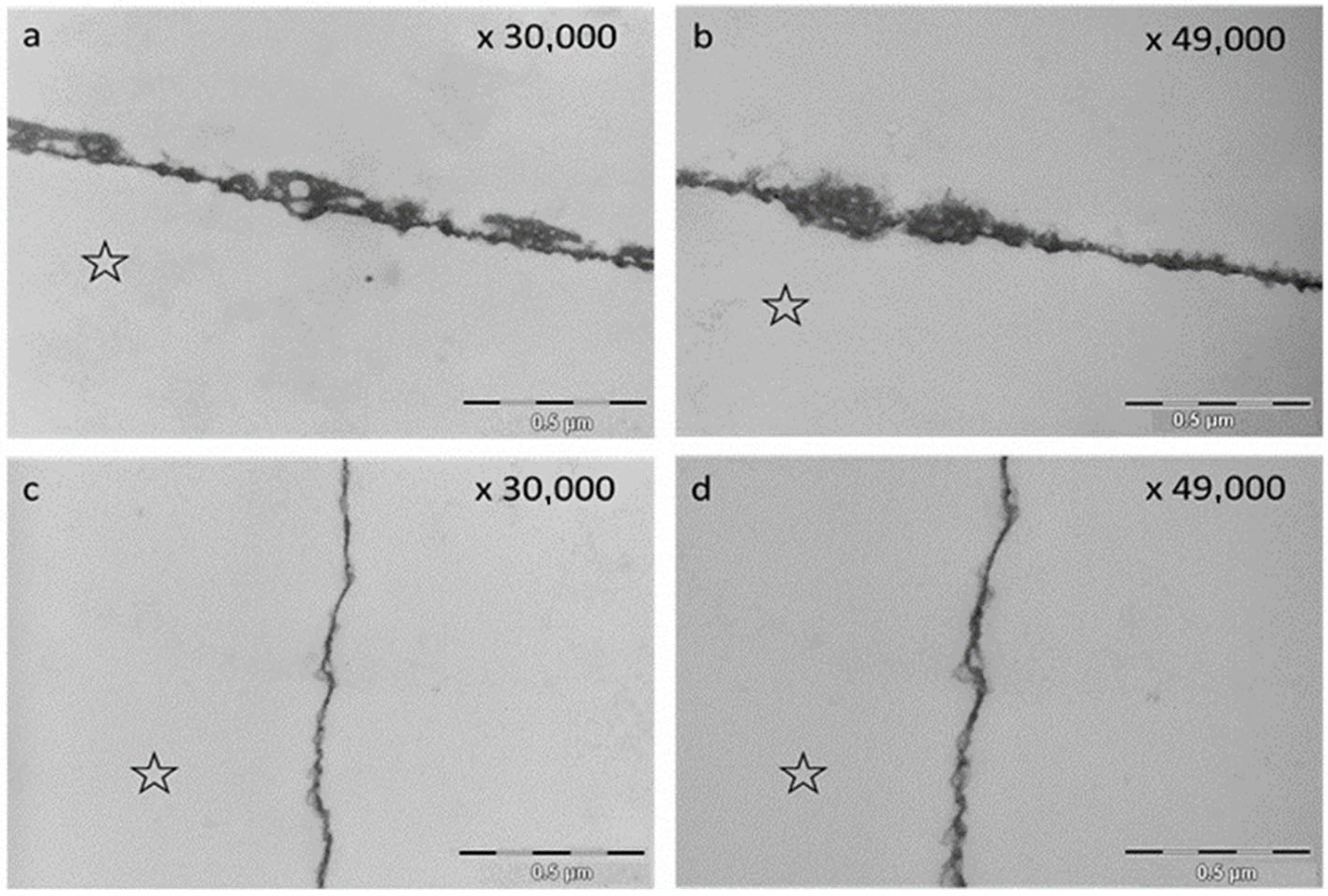Molecules 28 03803 g007 Molecules 28 03803 g007