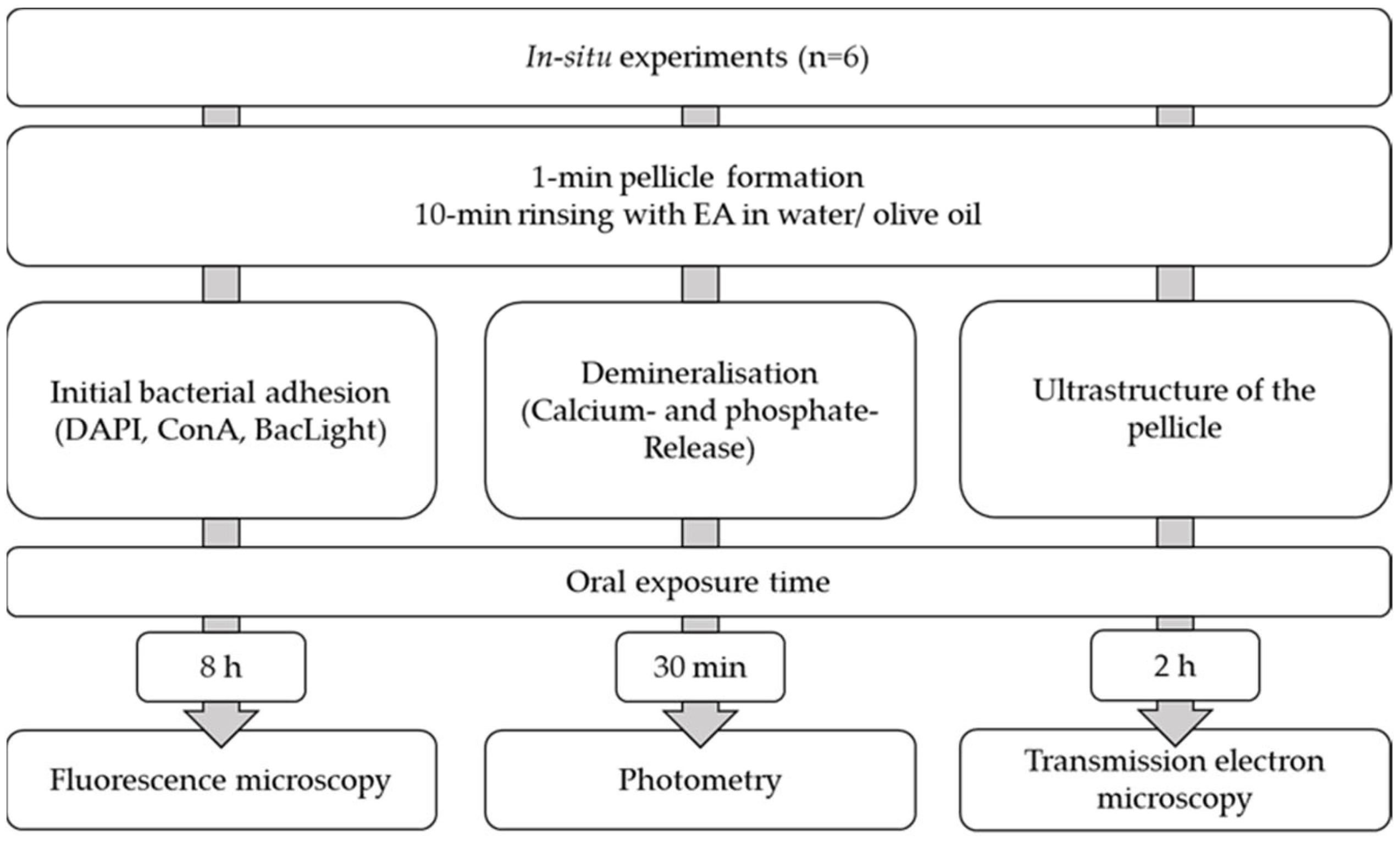Molecules 28 03803 g008 Molecules 28 03803 g008