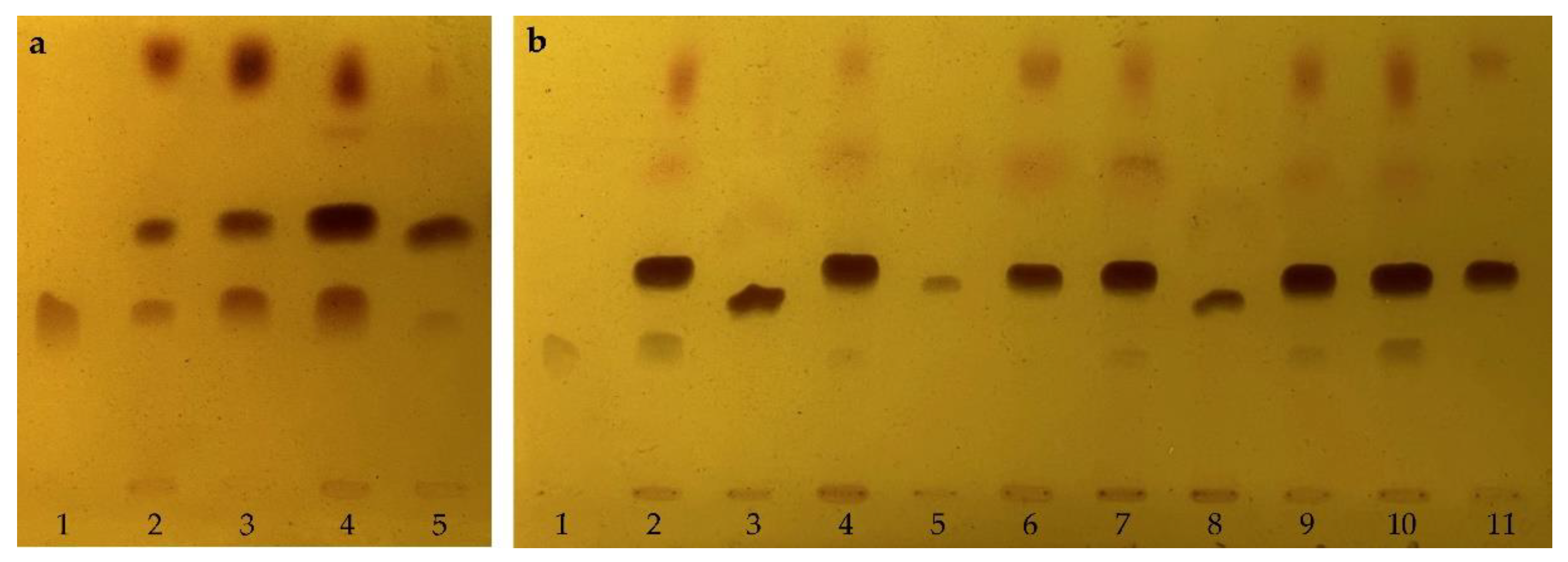 Molecules 28 03813 g002