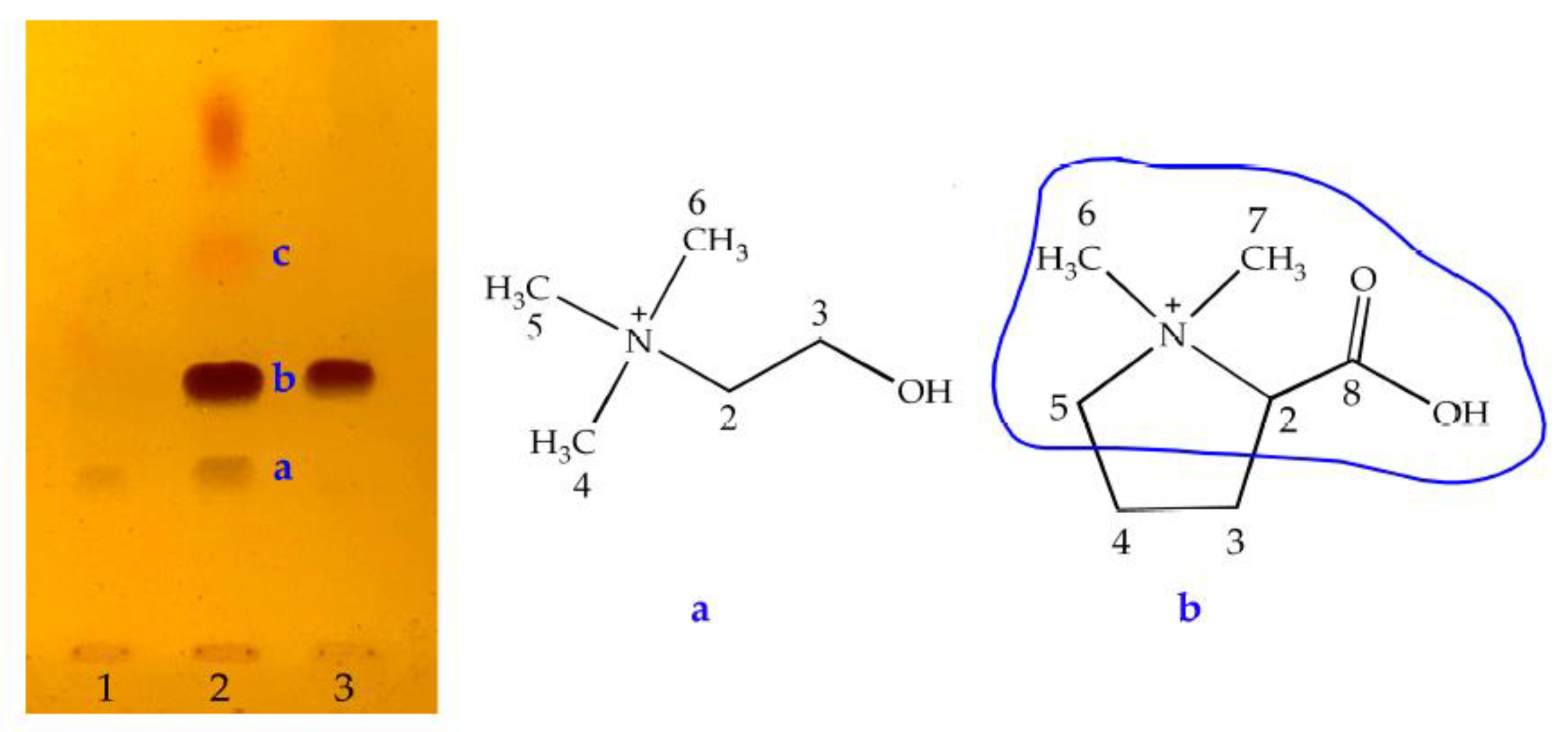 Molecules 28 03813 g003