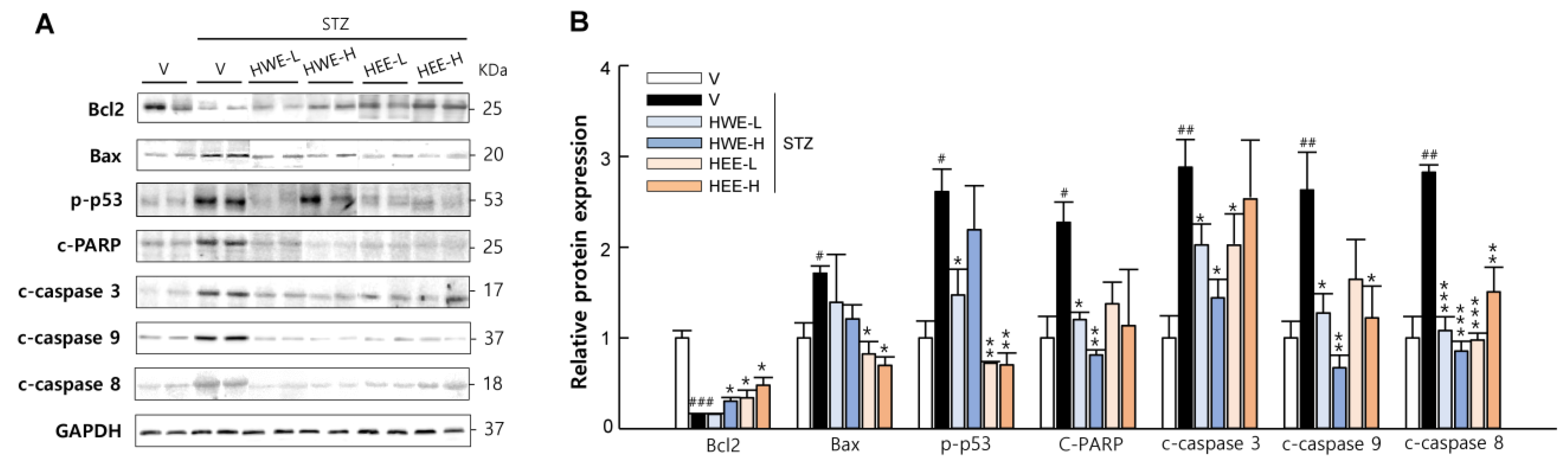 Molecules 28 03814 g003