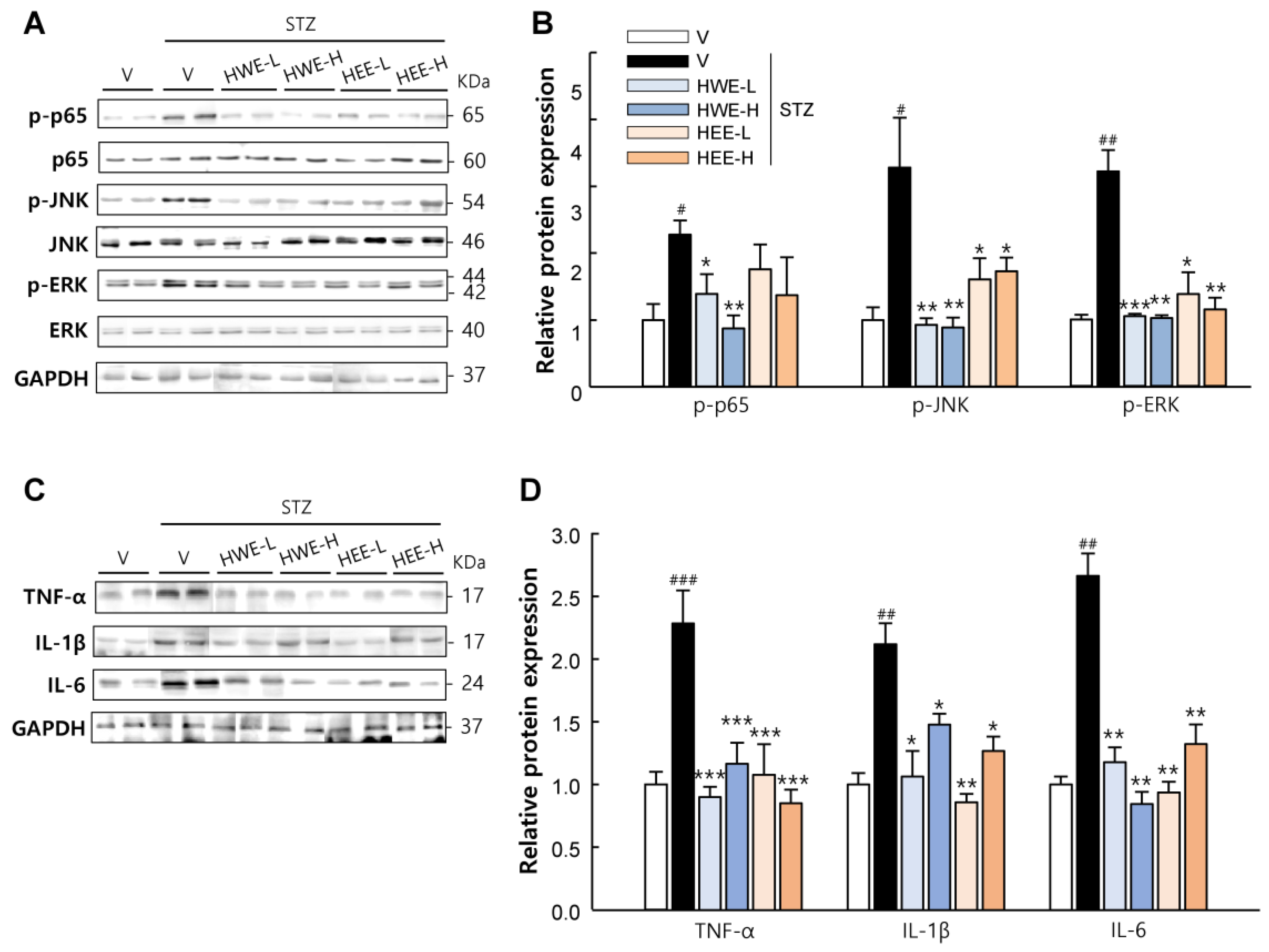 Molecules 28 03814 g004