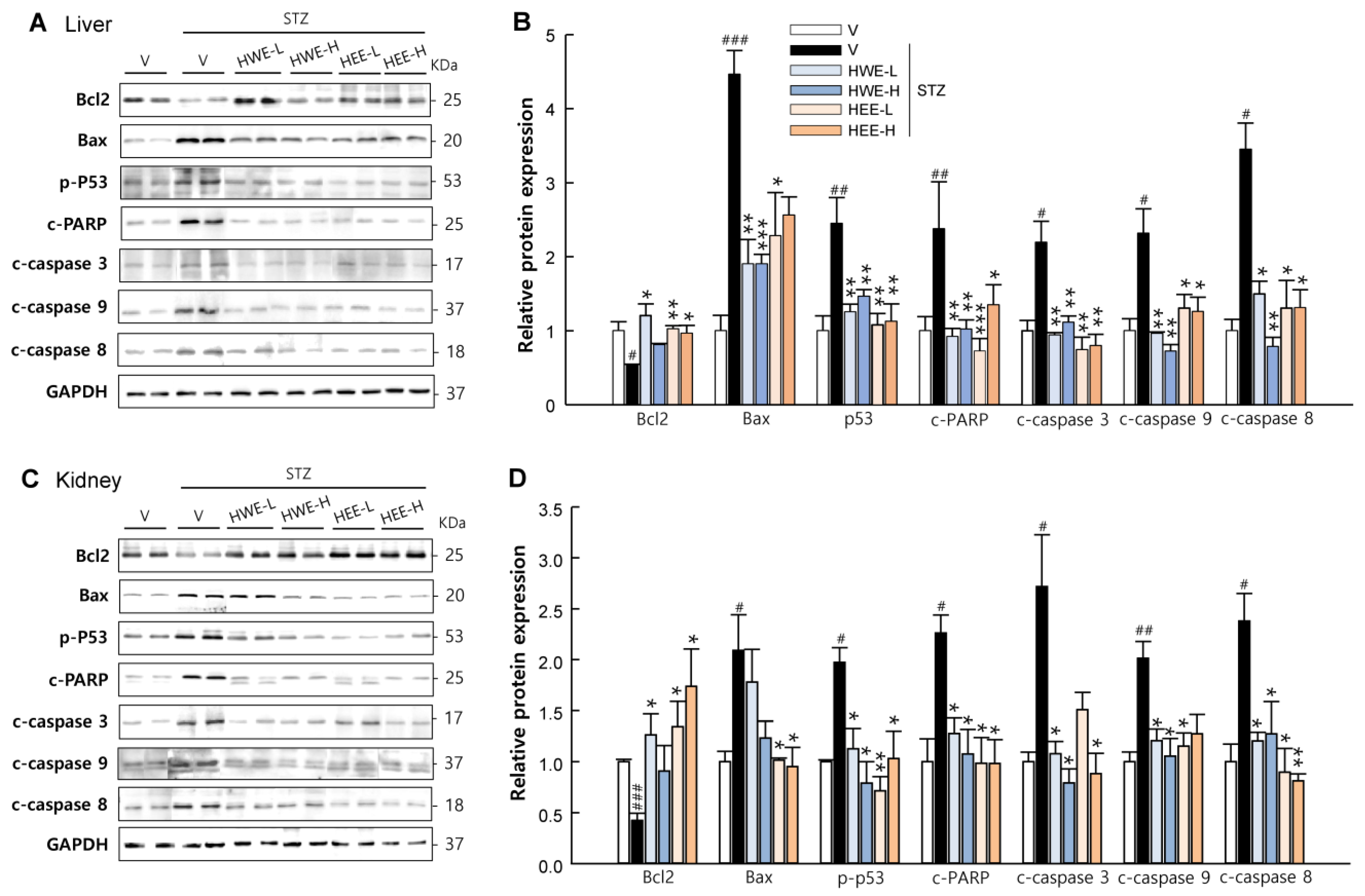 Molecules 28 03814 g005