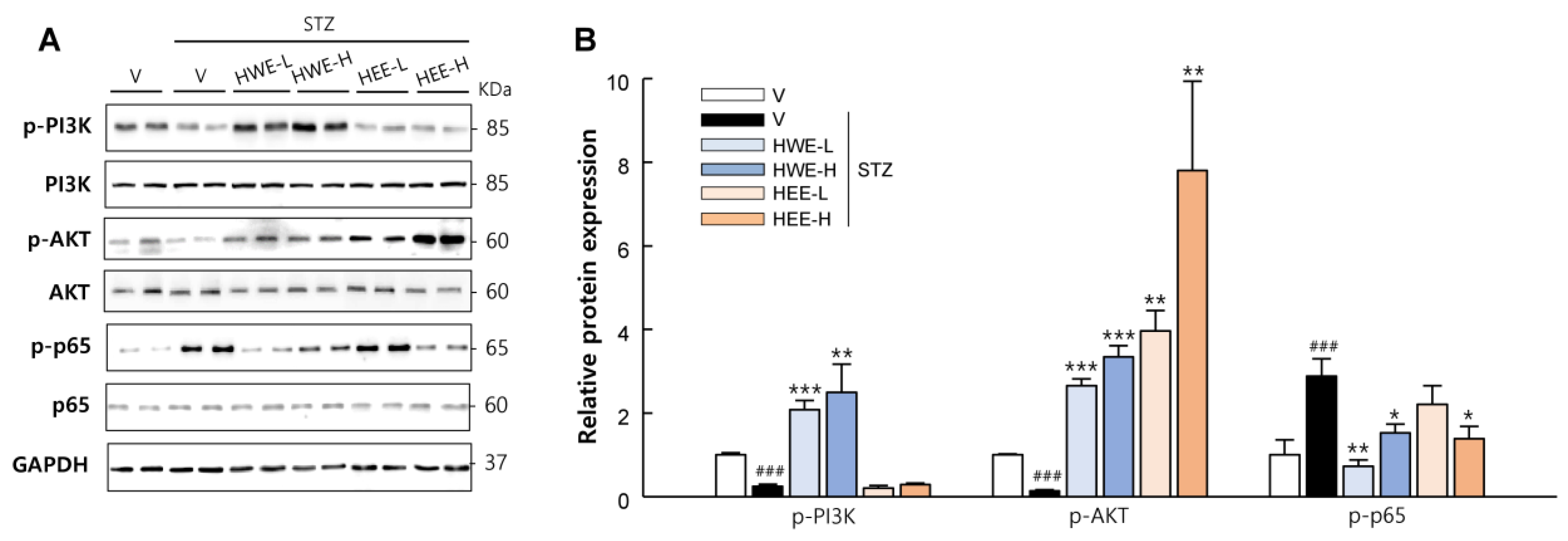 Molecules 28 03814 g006