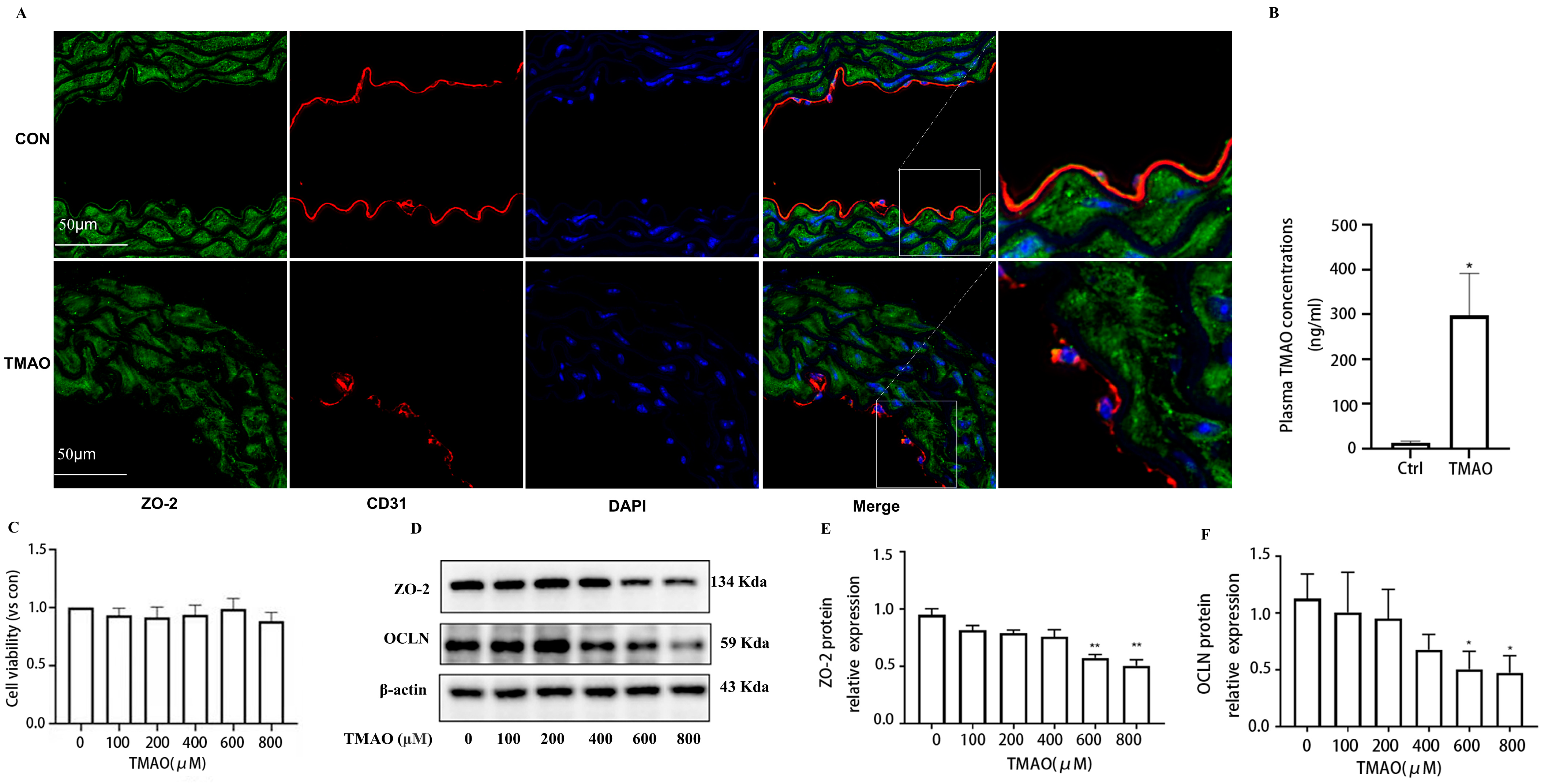Molecules 28 03817 g001 Molecules 28 03817 g001