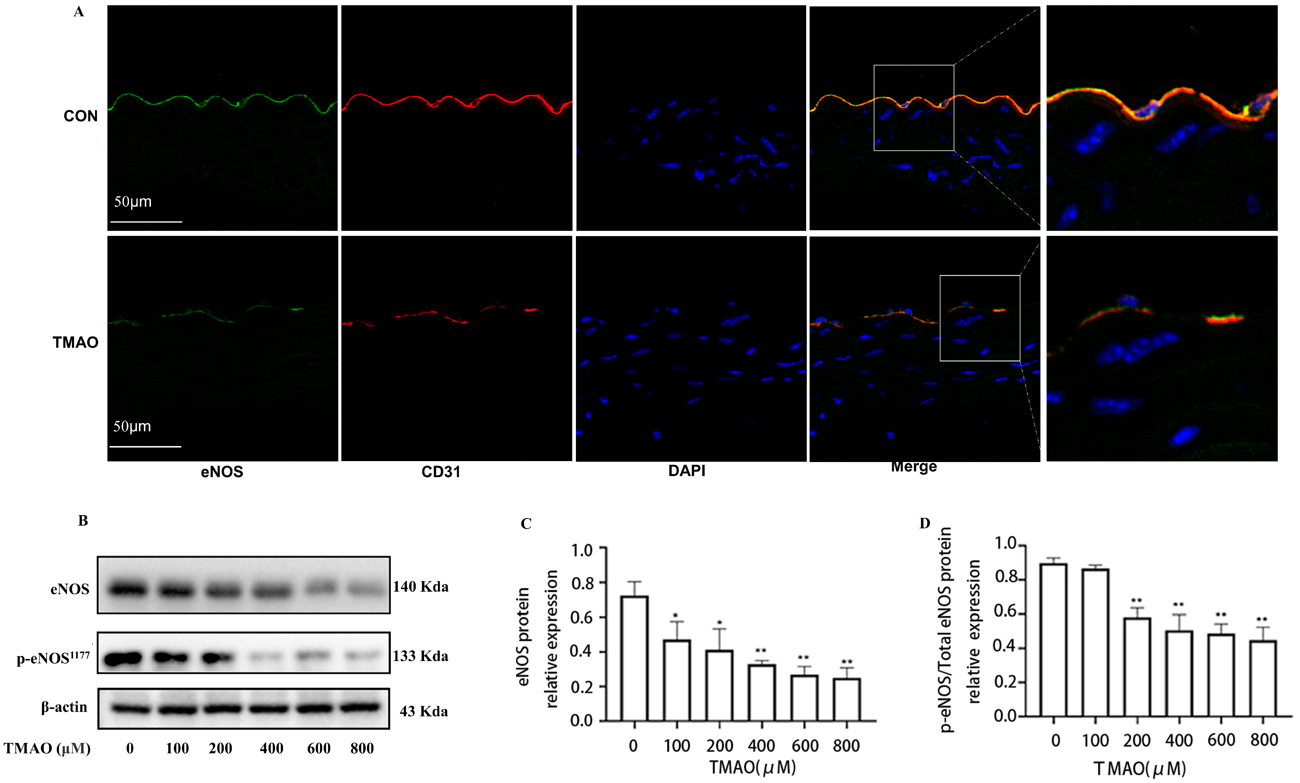 Molecules 28 03817 g002 Molecules 28 03817 g002