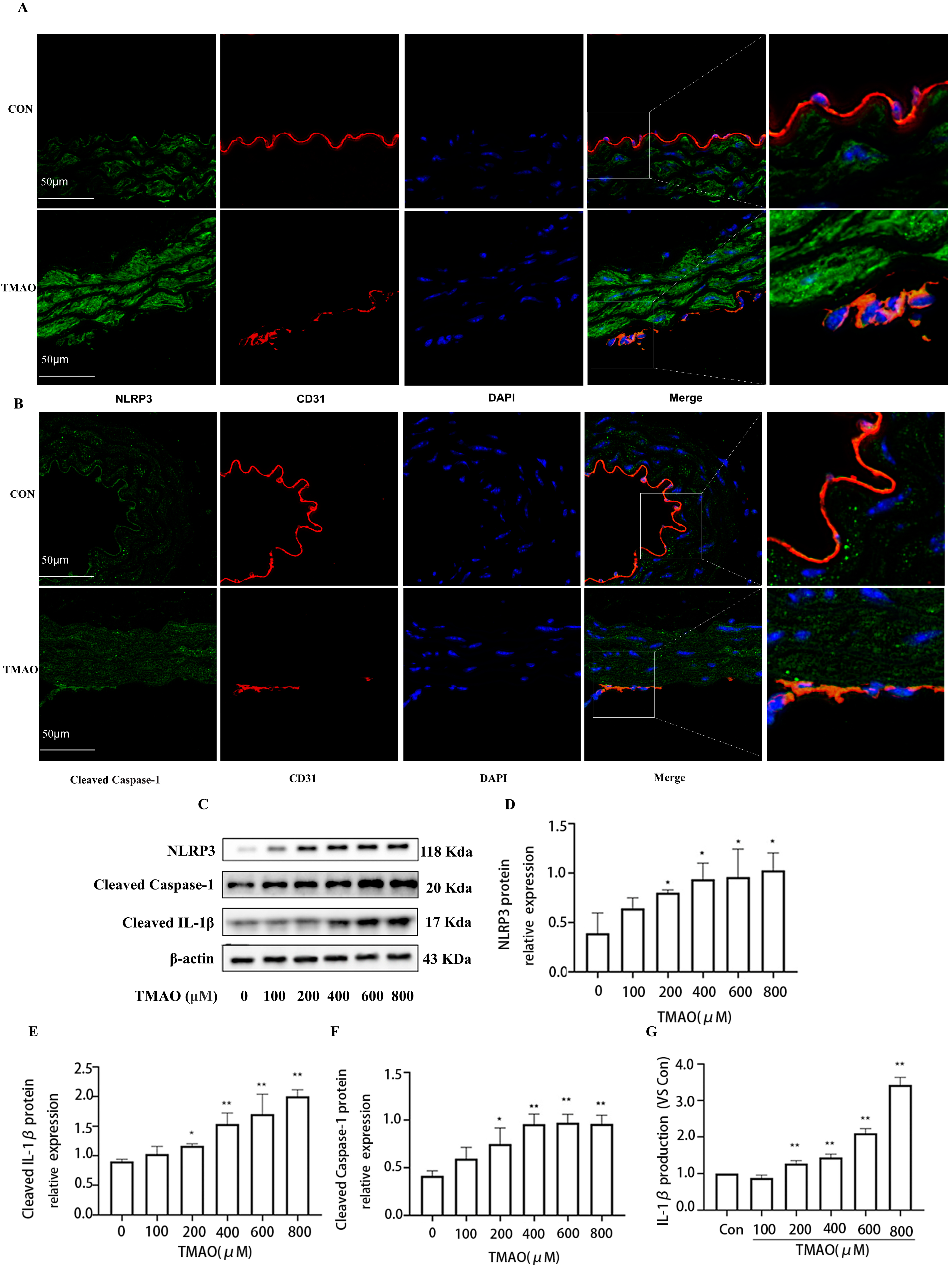 Molecules 28 03817 g006 Molecules 28 03817 g006