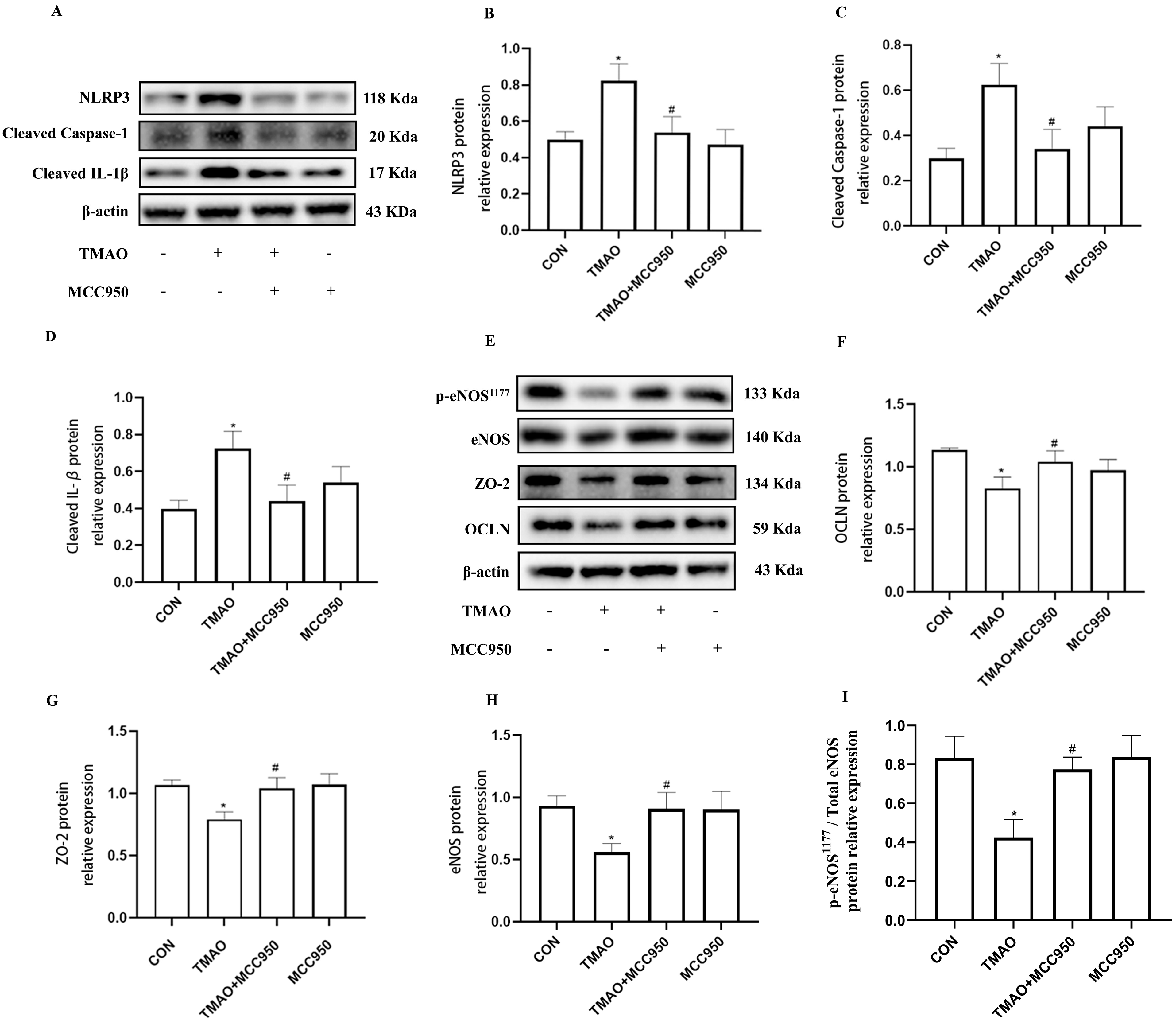 Molecules 28 03817 g007 Molecules 28 03817 g007