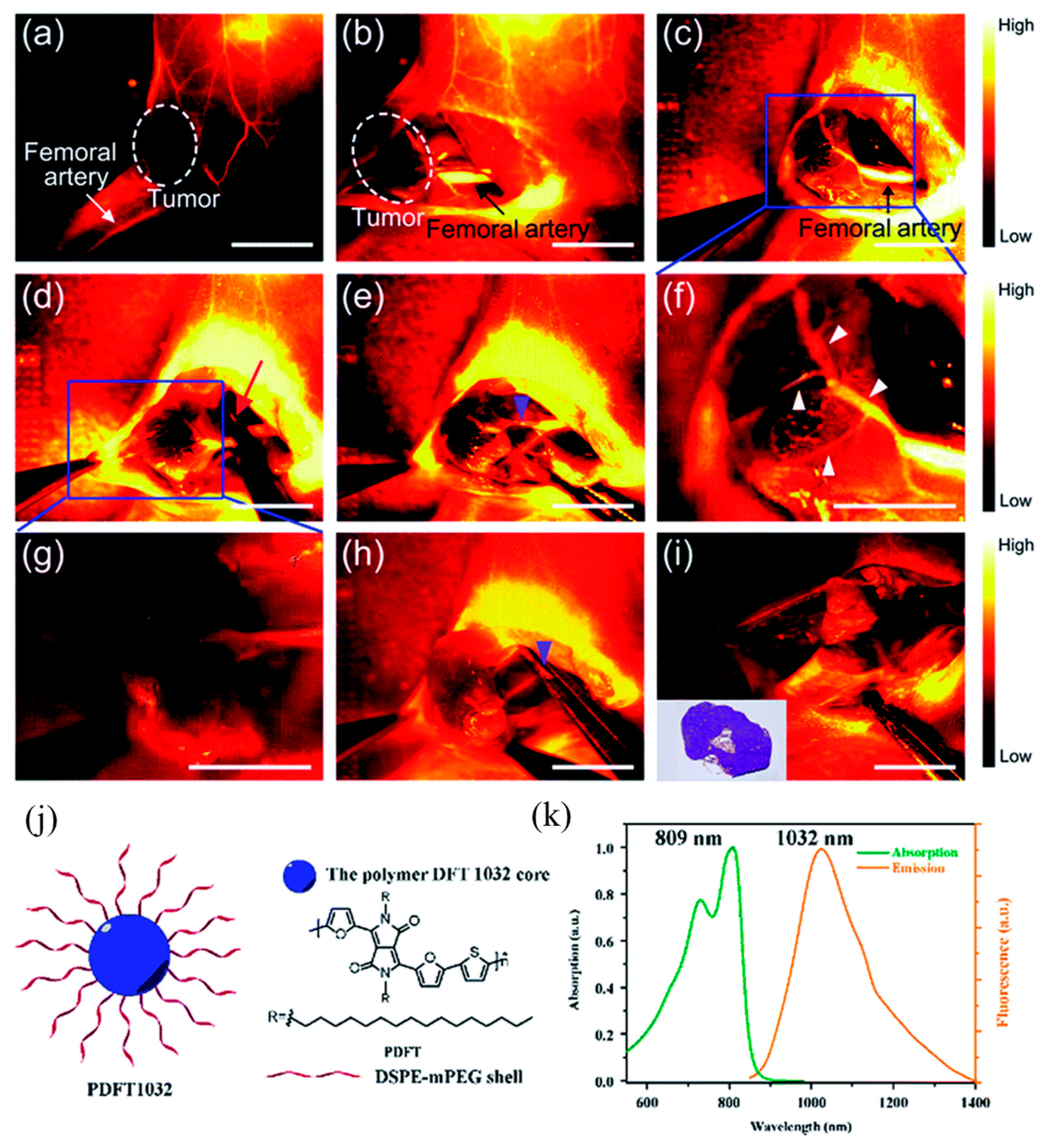 Molecules 28 03819 g002 Molecules 28 03819 g002