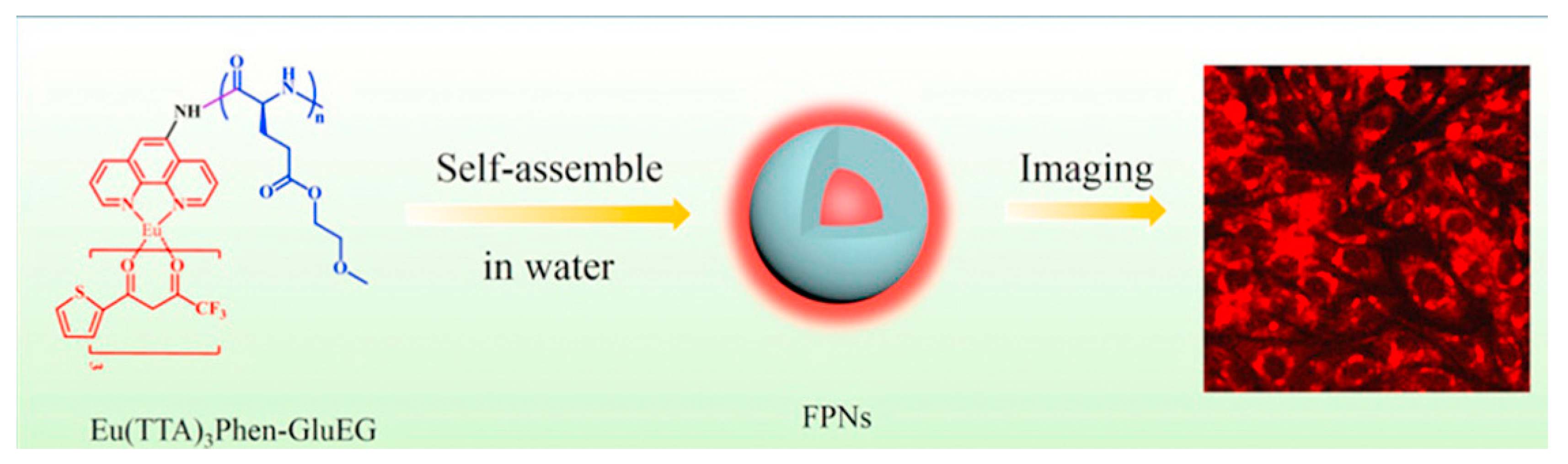 Molecules 28 03819 g010 Molecules 28 03819 g010
