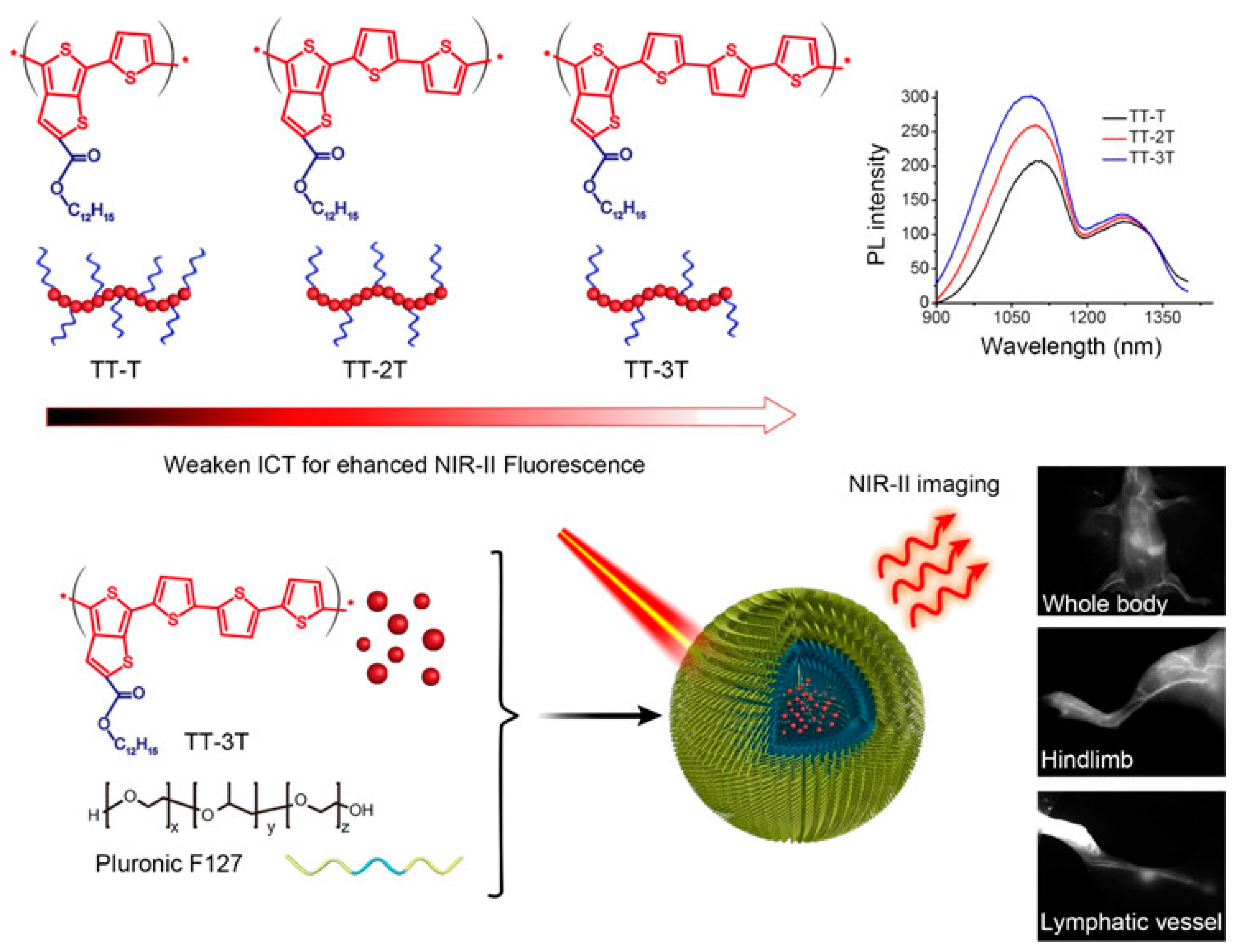 Molecules 28 03819 g014 Molecules 28 03819 g014