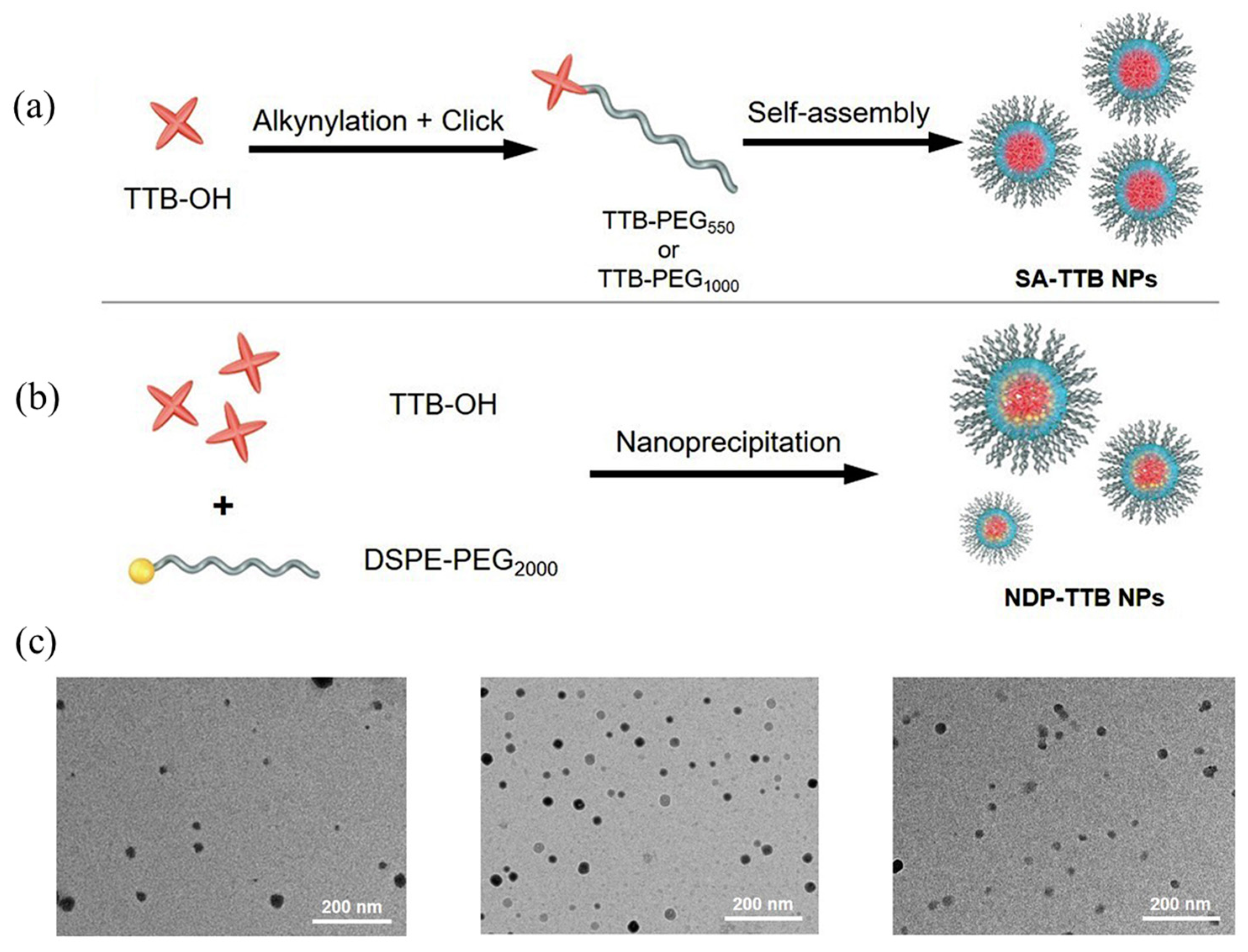 Molecules 28 03819 g020 Molecules 28 03819 g020