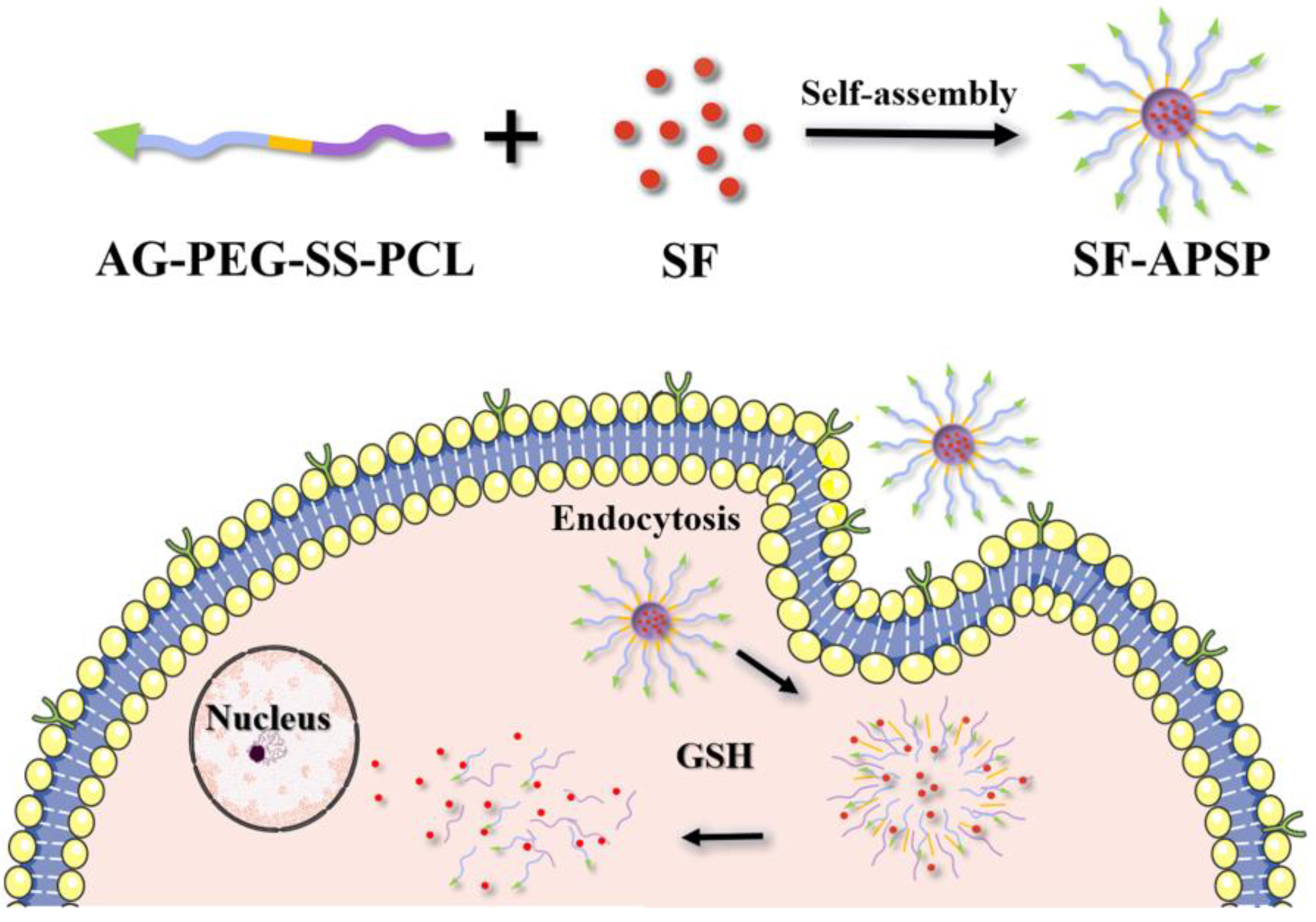 Molecules 28 03824 g001 Molecules 28 03824 g001