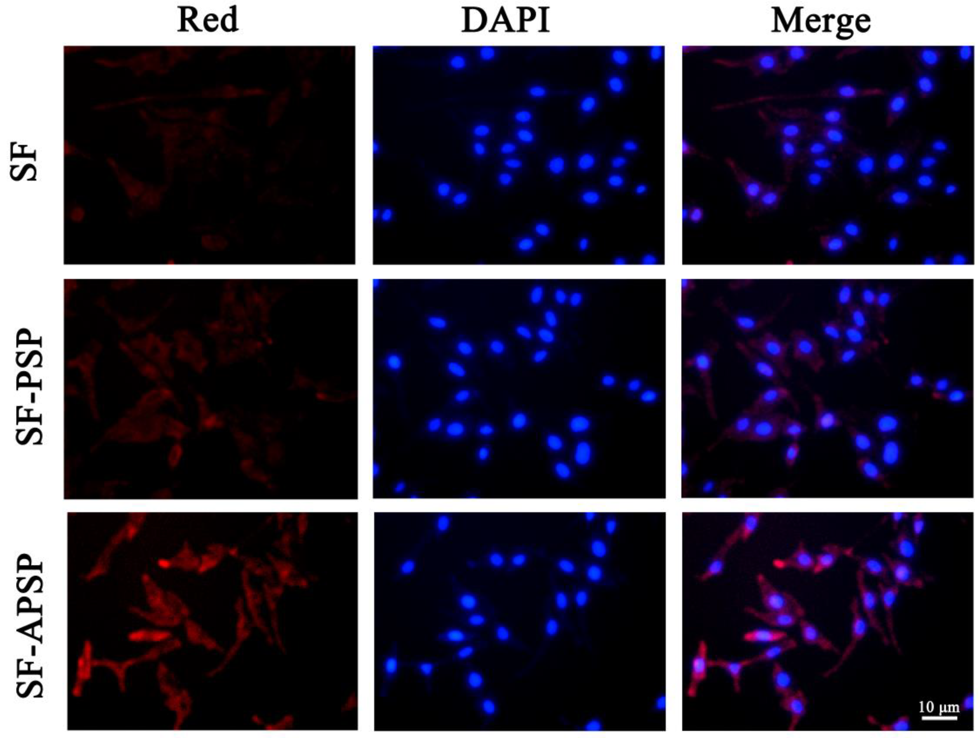 Molecules 28 03824 g009 Molecules 28 03824 g009
