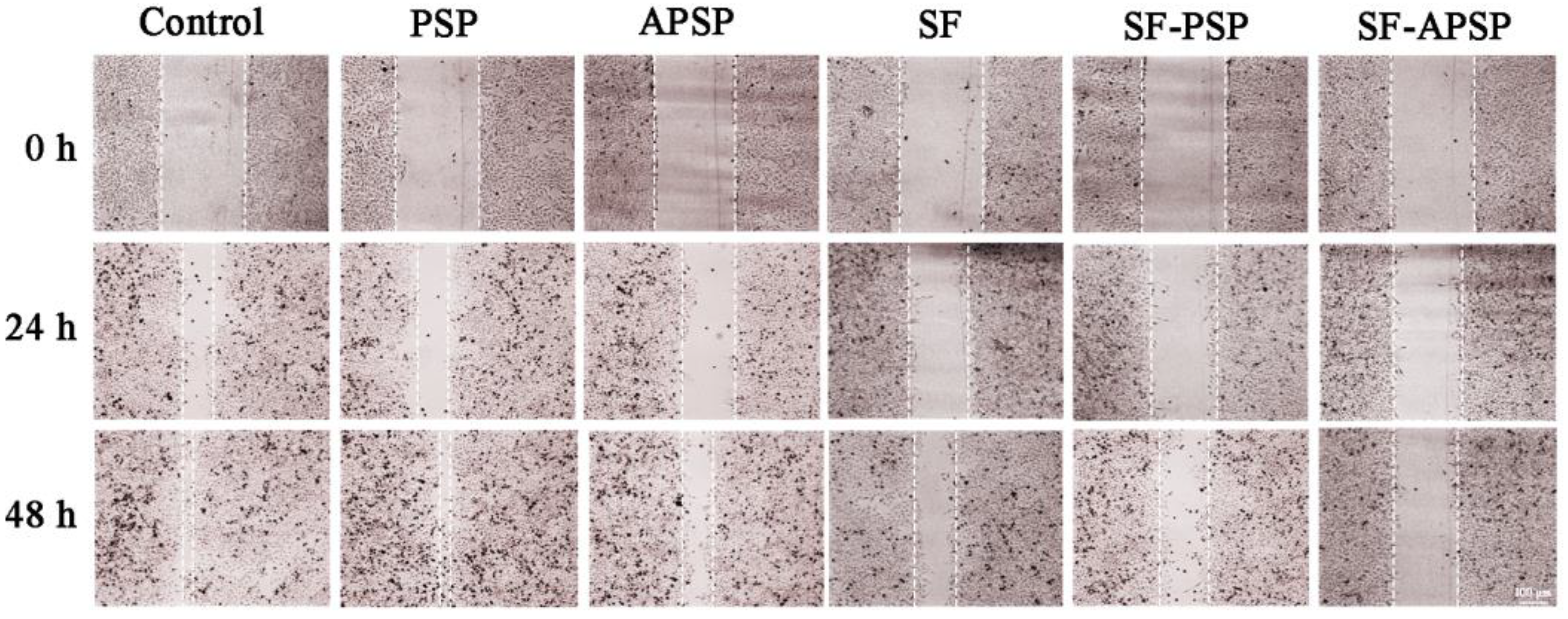 Molecules 28 03824 g011 Molecules 28 03824 g011