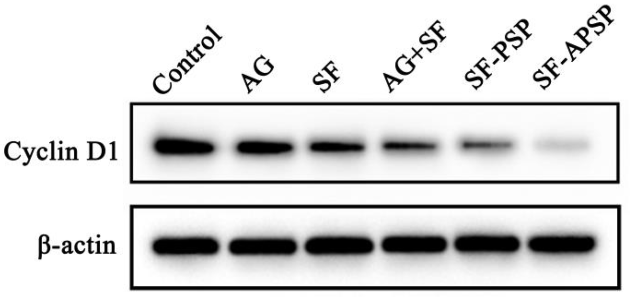 Molecules 28 03824 g012 Molecules 28 03824 g012