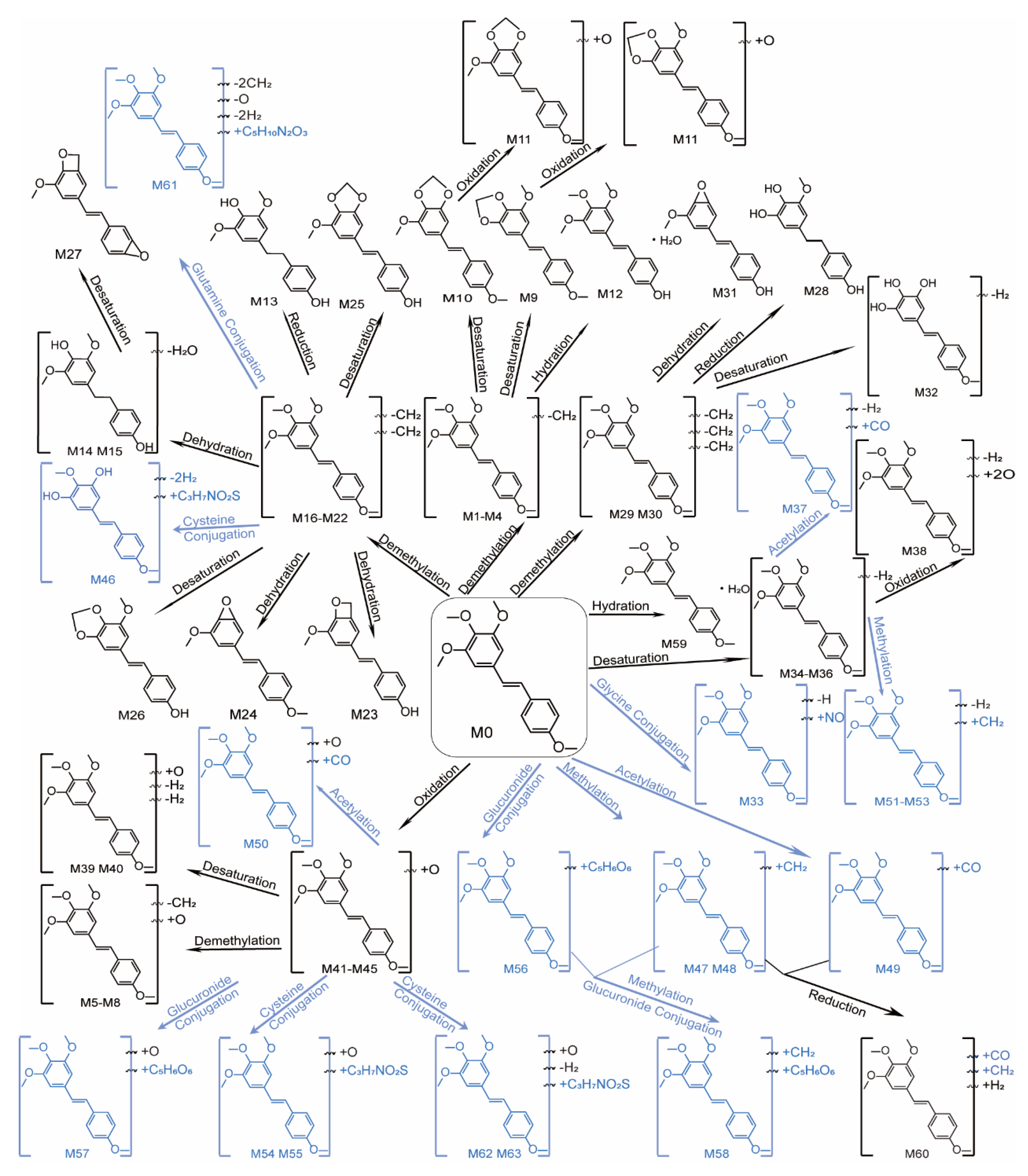 Molecules 28 03828 g005 Molecules 28 03828 g005