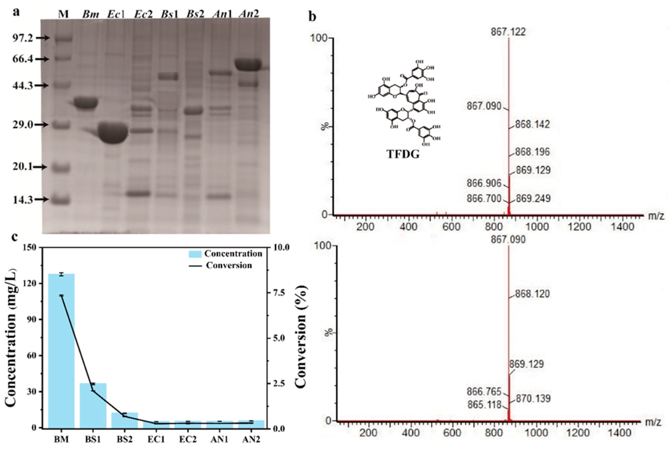 Molecules 28 03831 g001